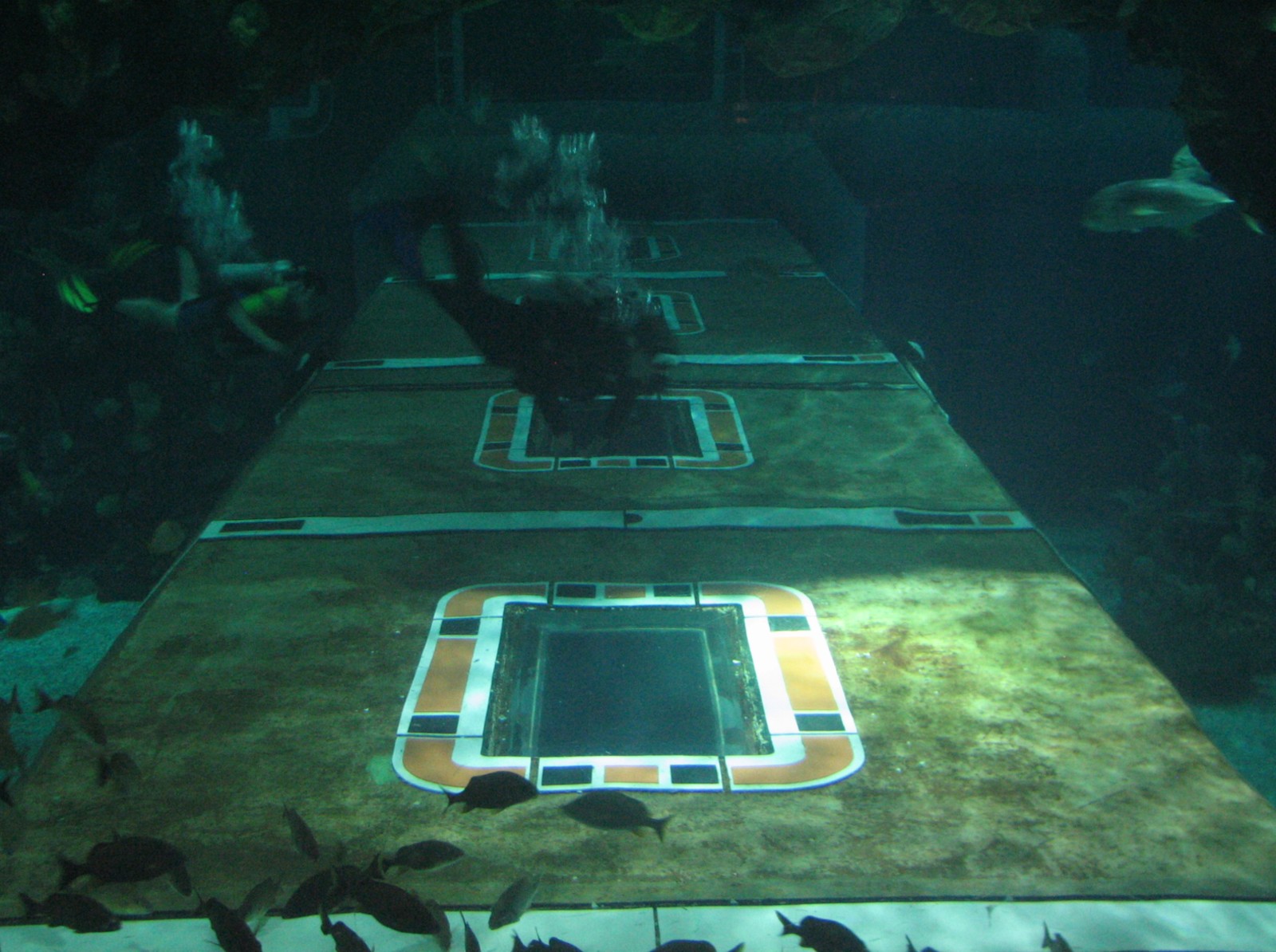 The Seas at EPCOT - Caribbean Coral Reef and Ride Tunnel