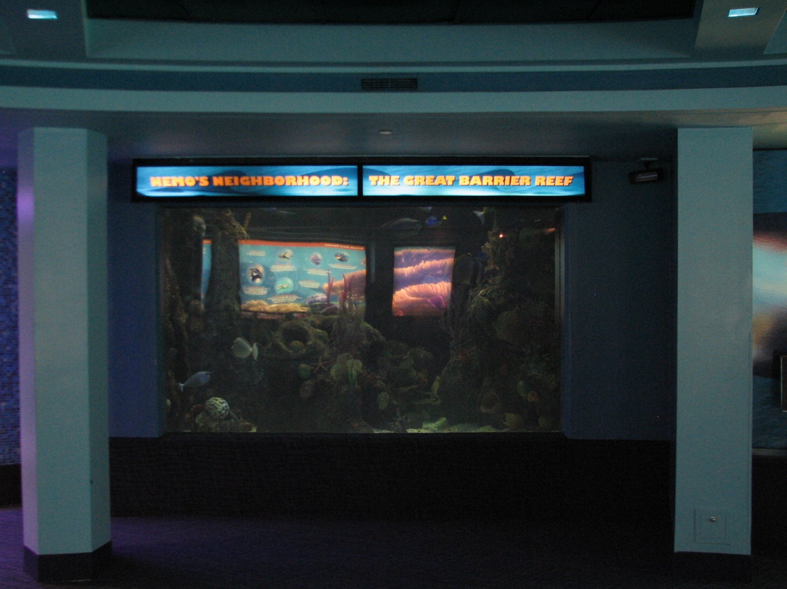 The Seas at EPCOT - Great Barrier Reef Exhibit