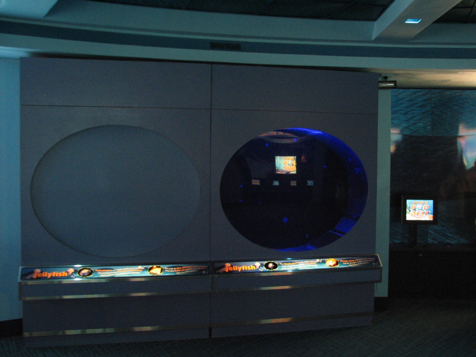 The Seas at EPCOT - Moon Jellies Exhibit