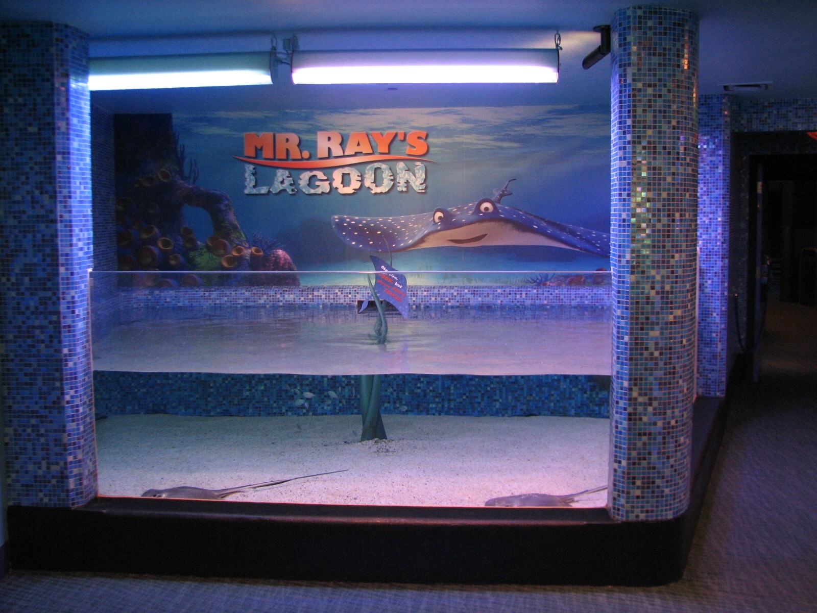 The Seas at EPCOT - Mr. Rays Lagoon