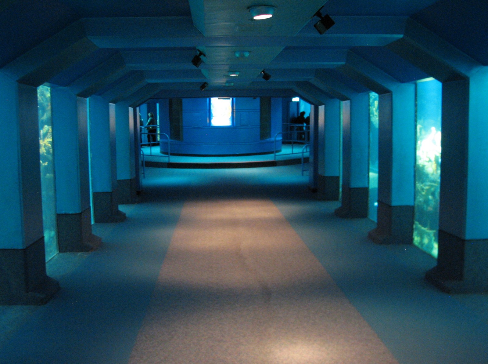 The Seas at EPCOT - Observation Deck Tunnel