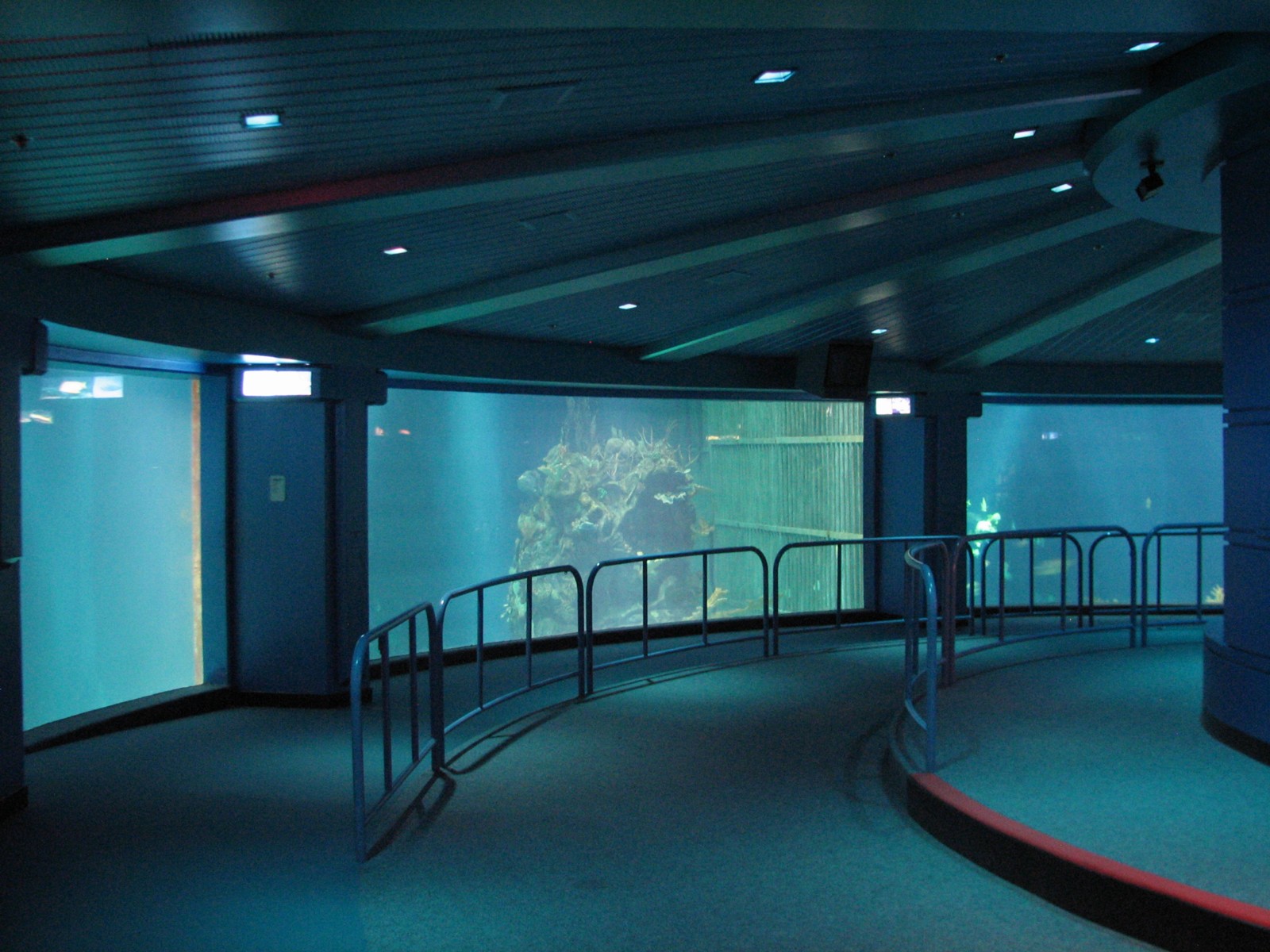 The Seas at EPCOT - Observation Deck View of Dolphin Habitat