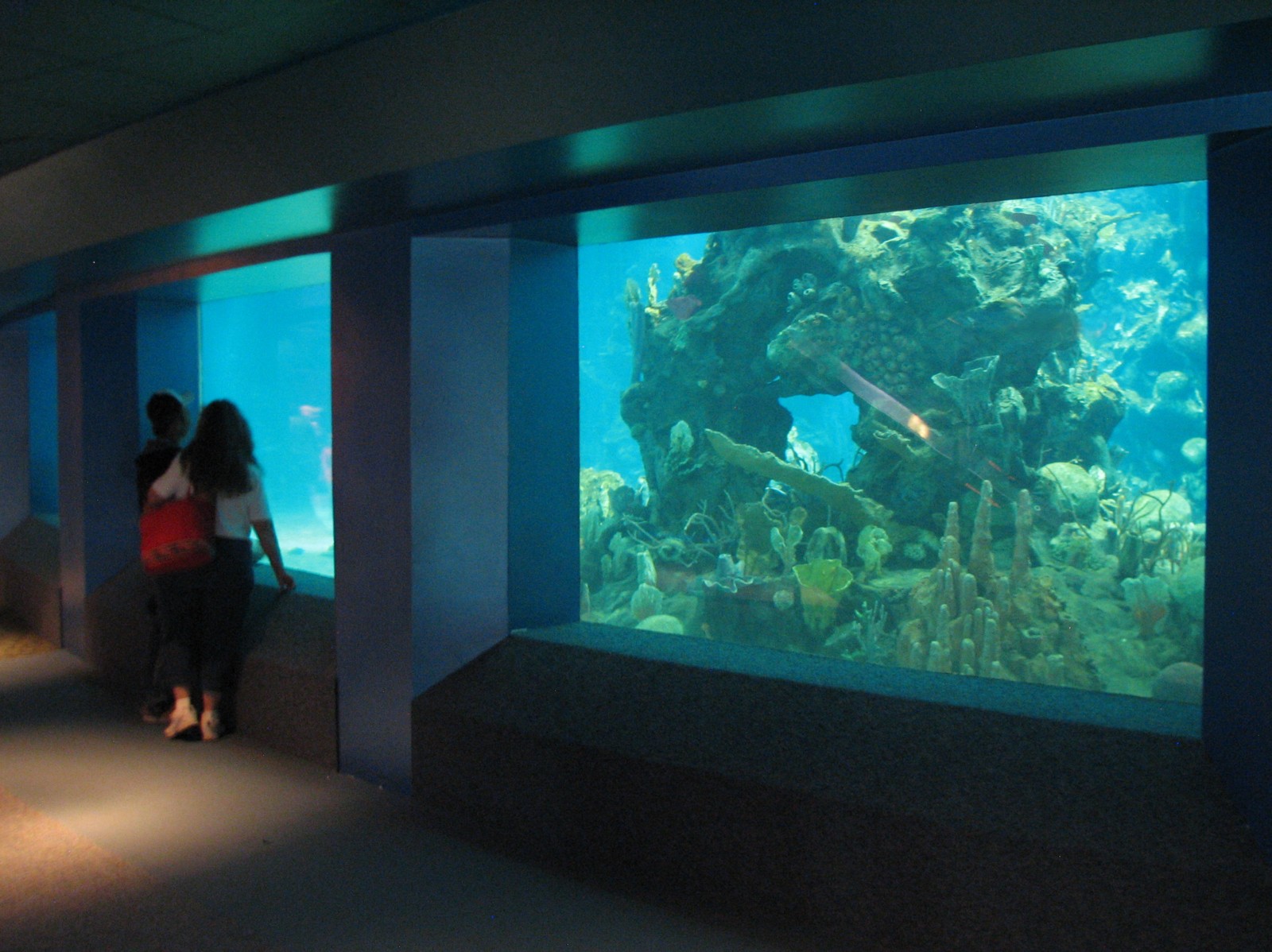 The Seas at EPCOT - Sea Base View of Dolphin Habitat