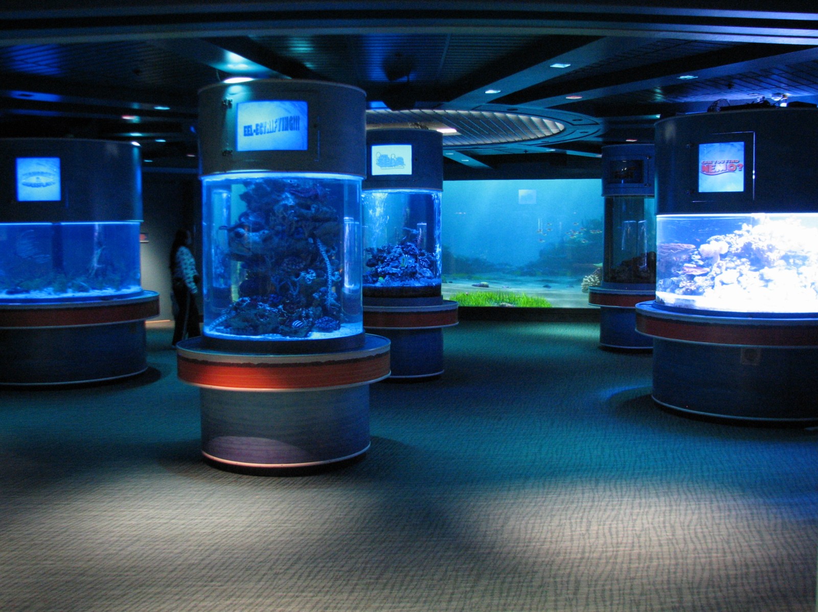 The Seas at EPCOT - Six Column Tanks