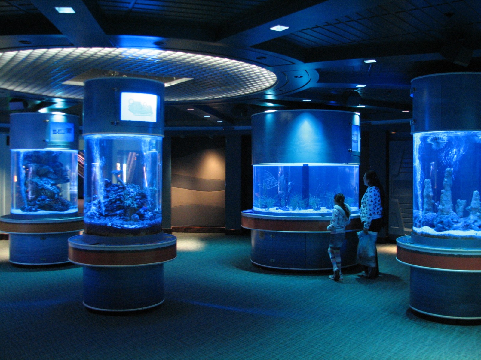 The Seas at EPCOT - Six Column Tanks