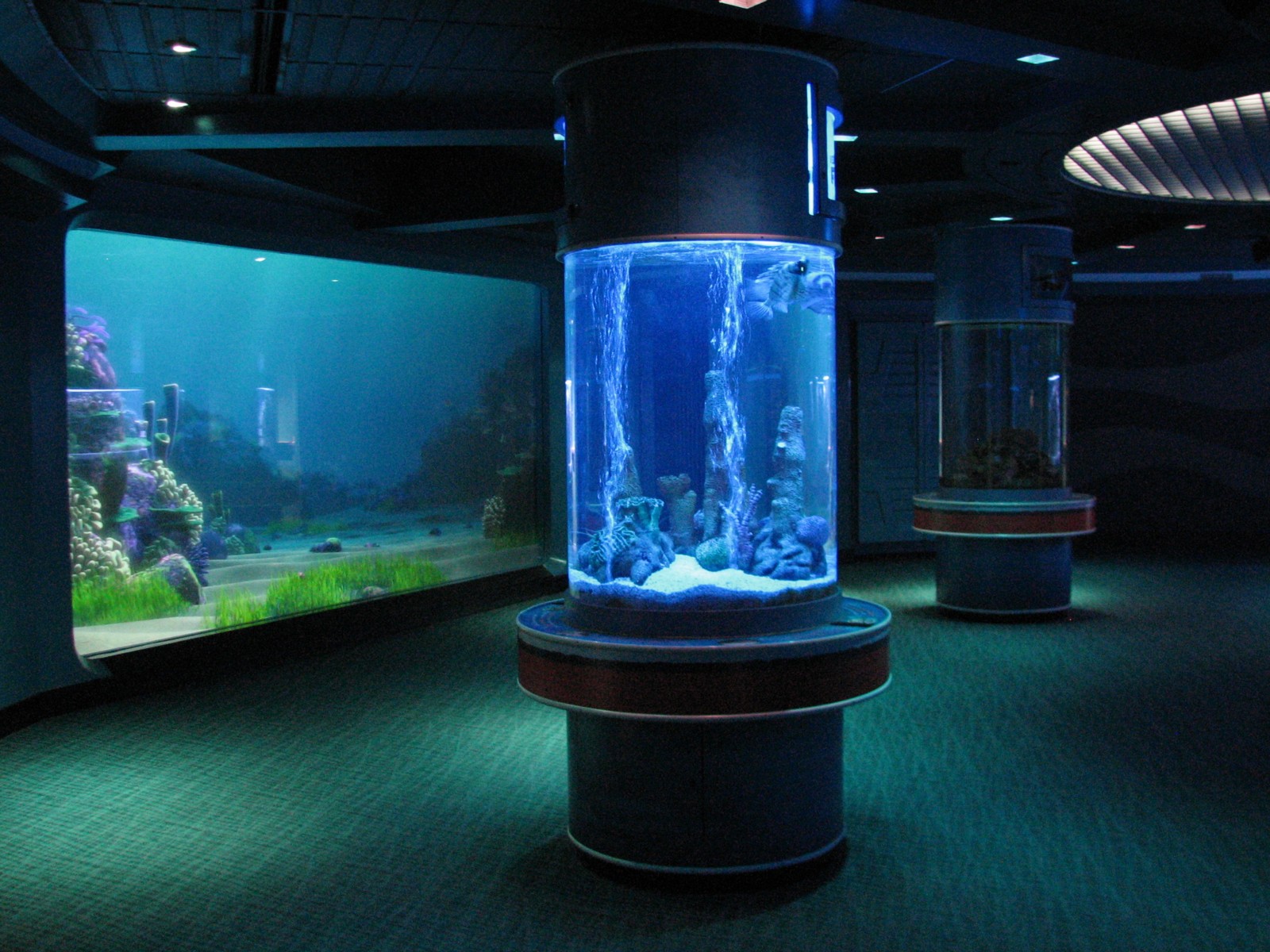The Seas at EPCOT - Six Column Tanks
