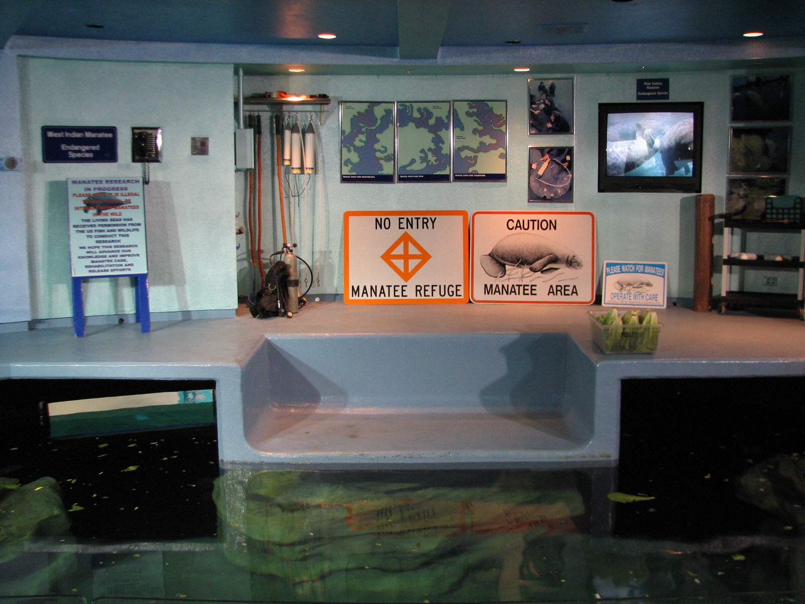 The Seas at EPCOT - West Indian Manatee Exhibit Upper Level