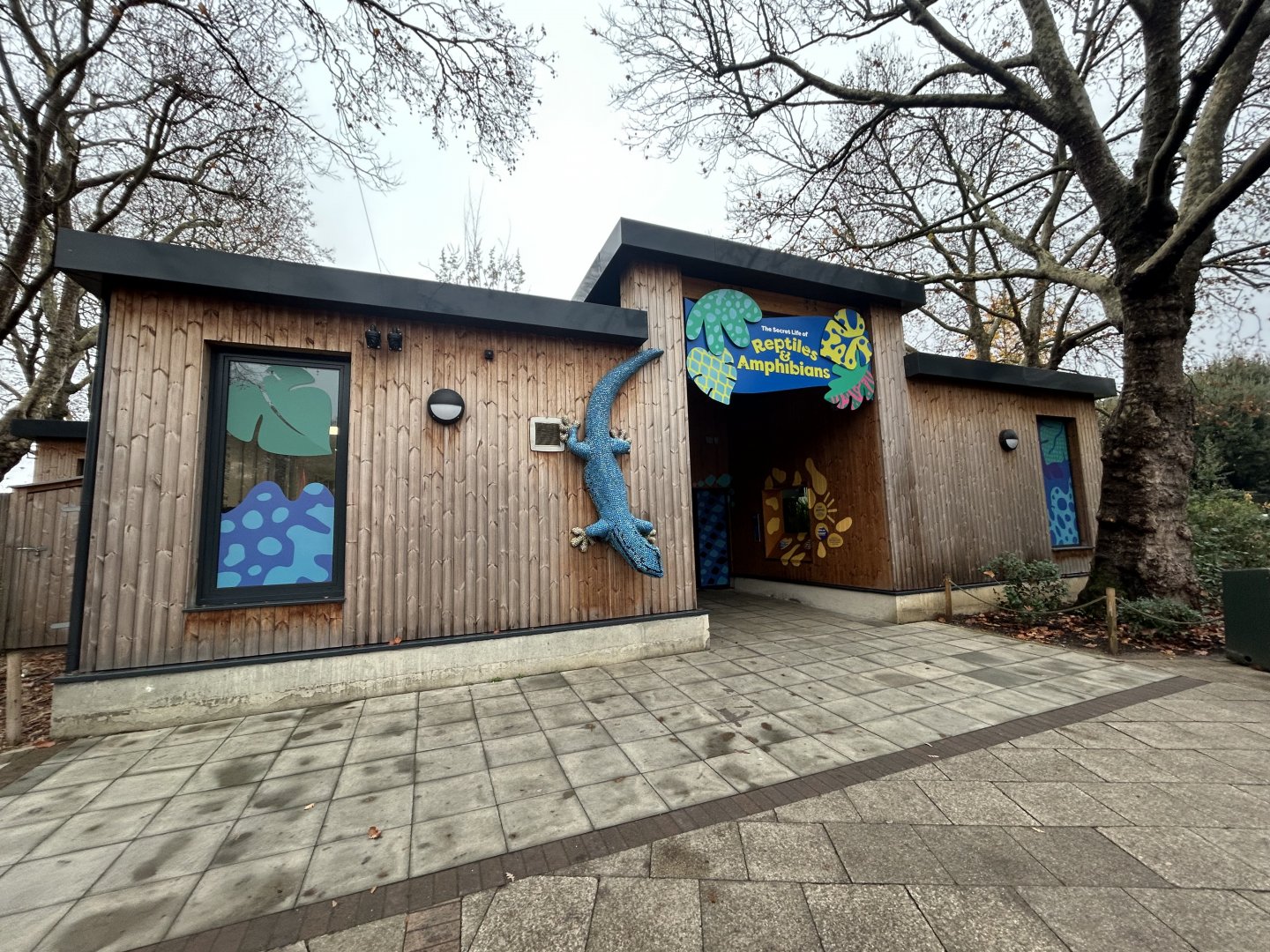 The Secret Life of Reptiles & Amphibians