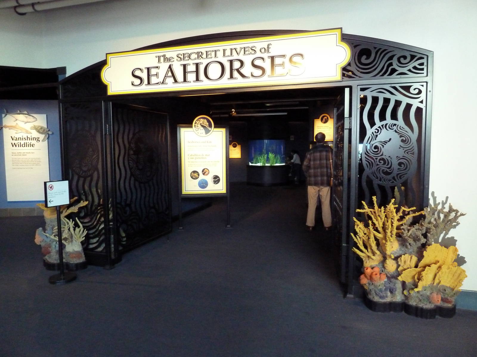 The Secret Lives Of Seahorses - Entrance Sign