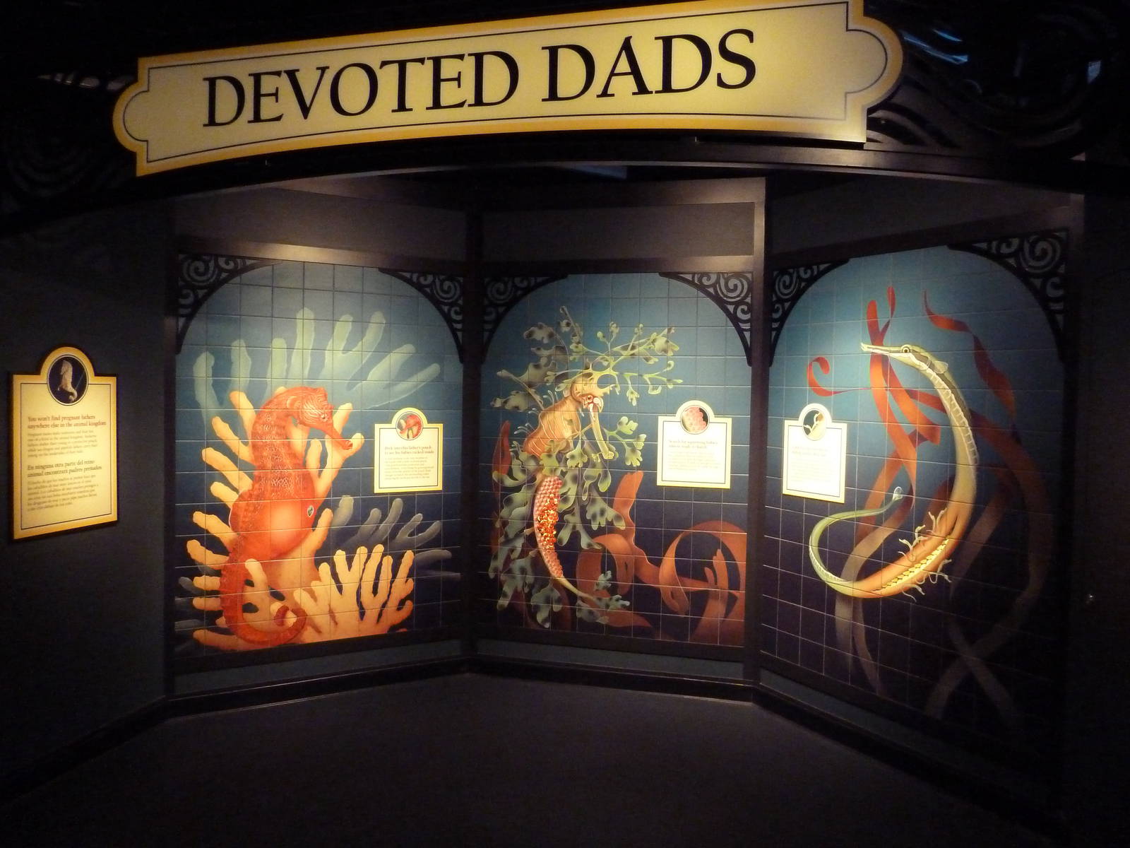 The Secret Lives Of Seahorses - Mural