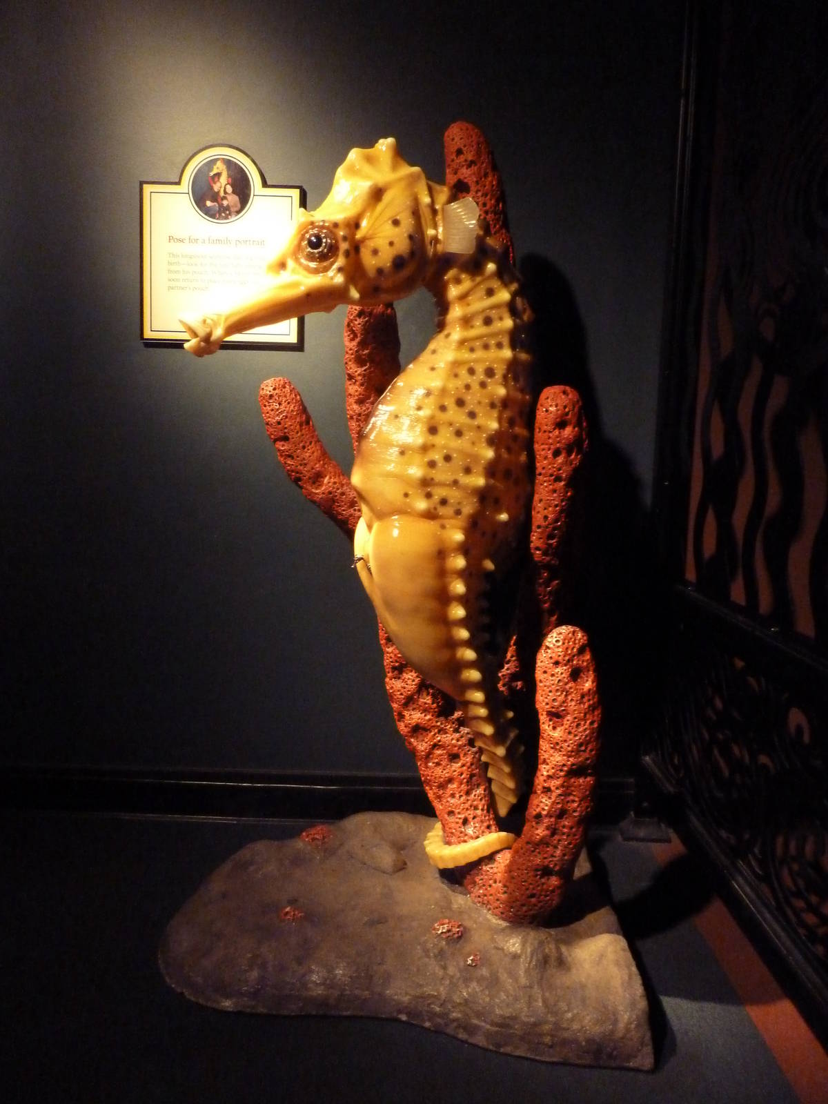 The Secret Lives Of Seahorses - Seahorse Statue