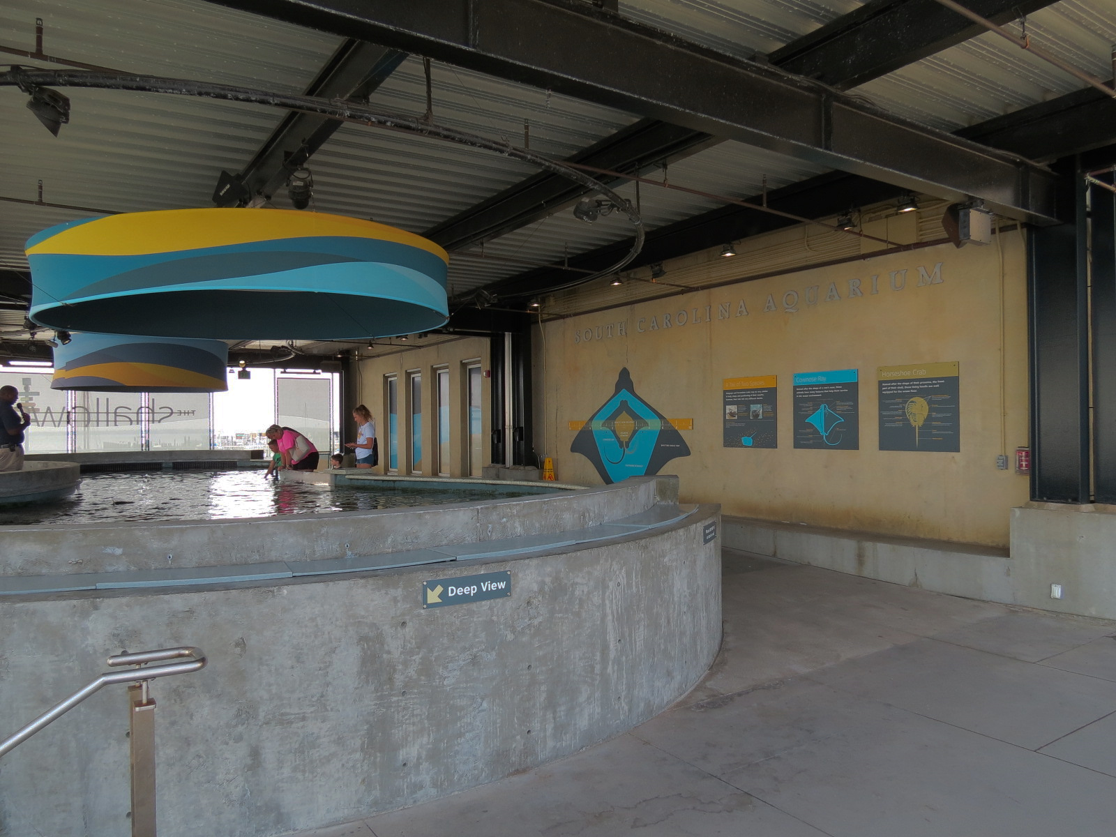 The Shallows - Touchtank