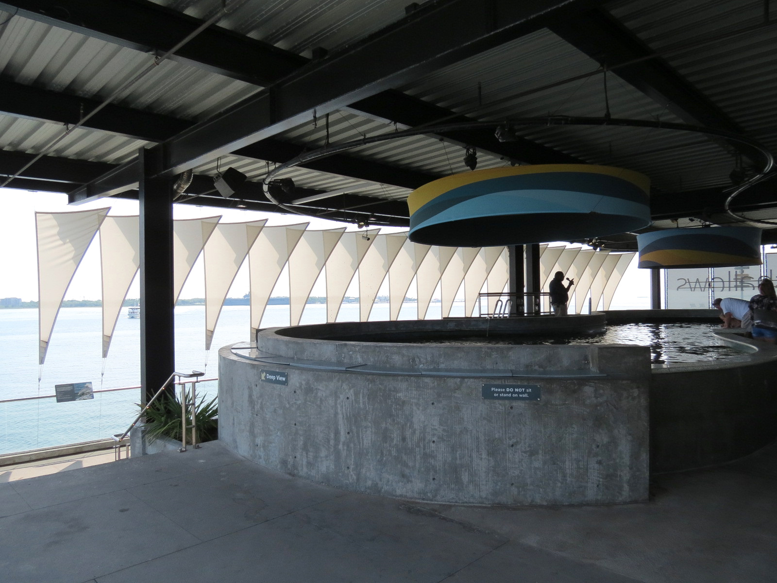 The Shallows - Touchtank