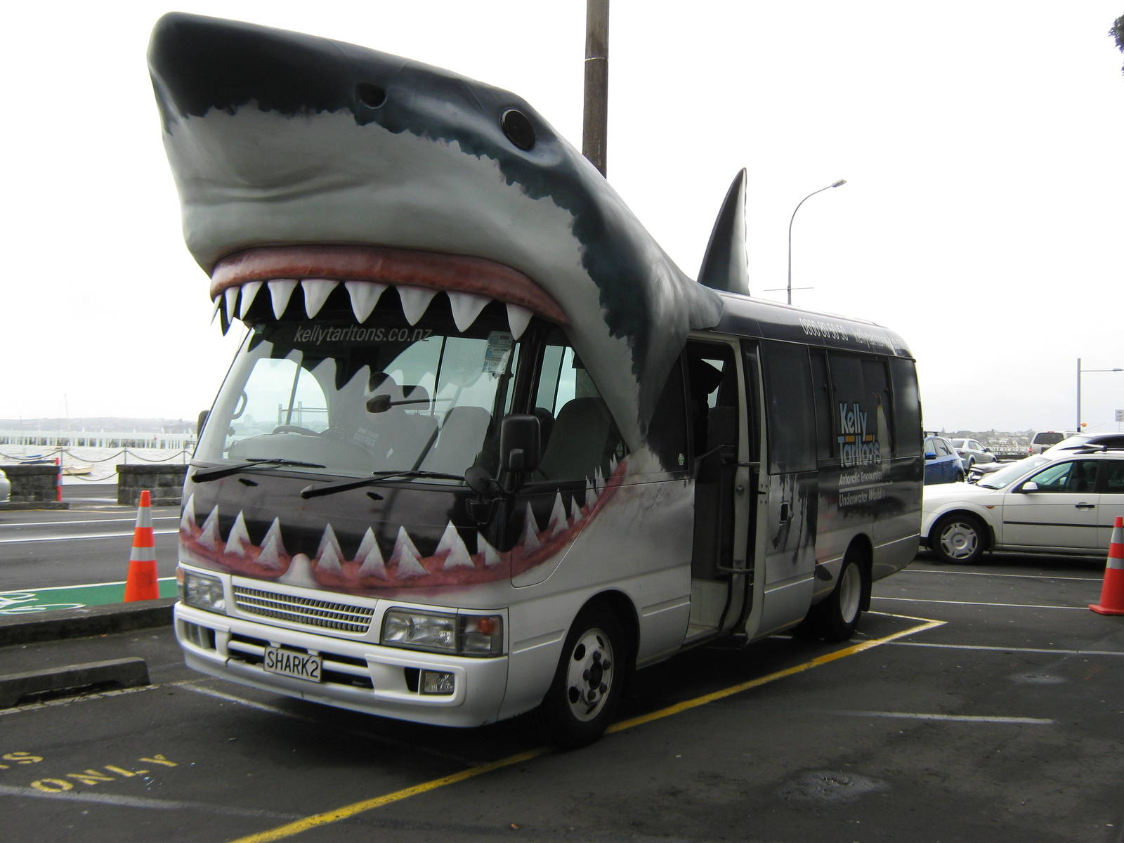 the Shark Bus