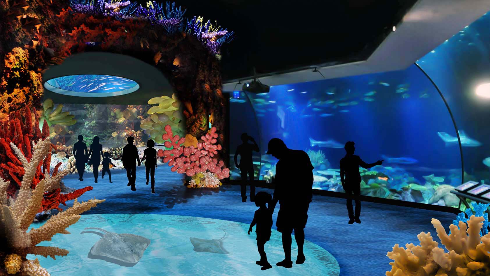 The Shedd Aquarium's Wild Reef Promo/Concept Art