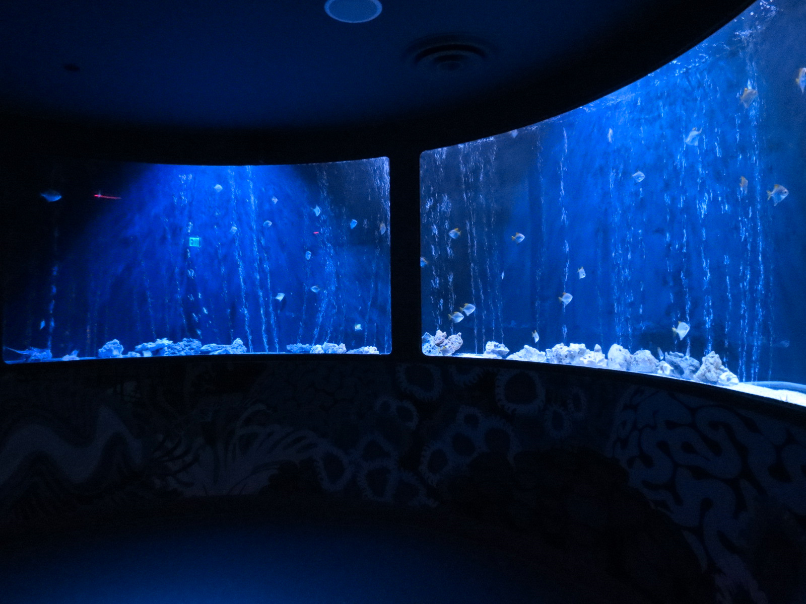 The Shoal Exhibit