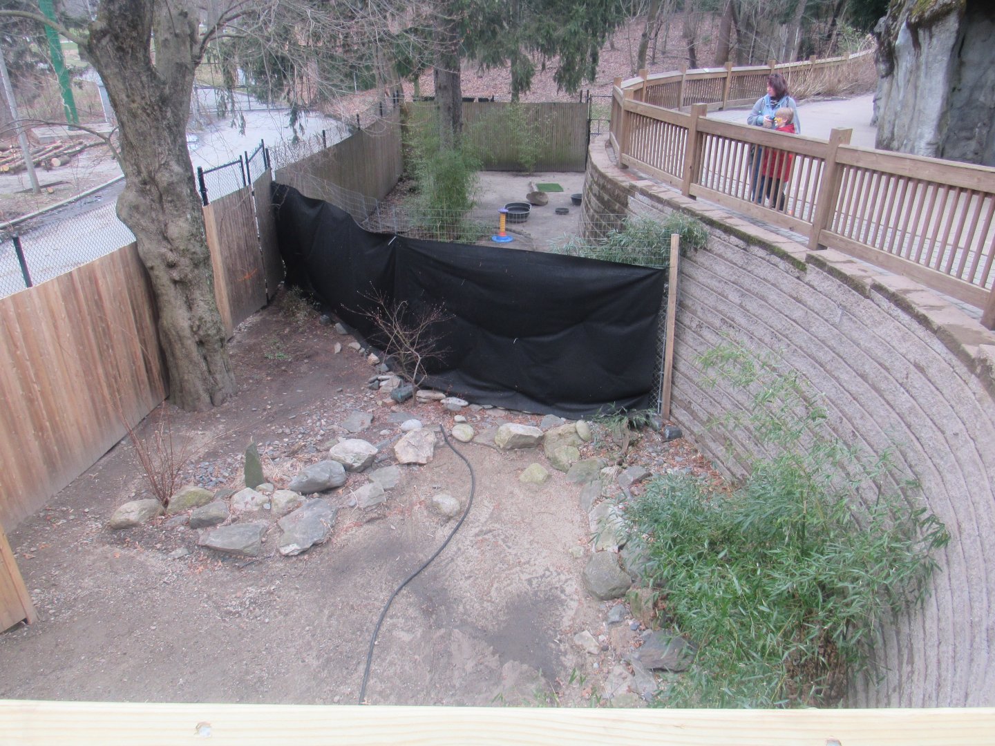 the shrunken red-crowned crane enclosure and the space between it and the red panda building