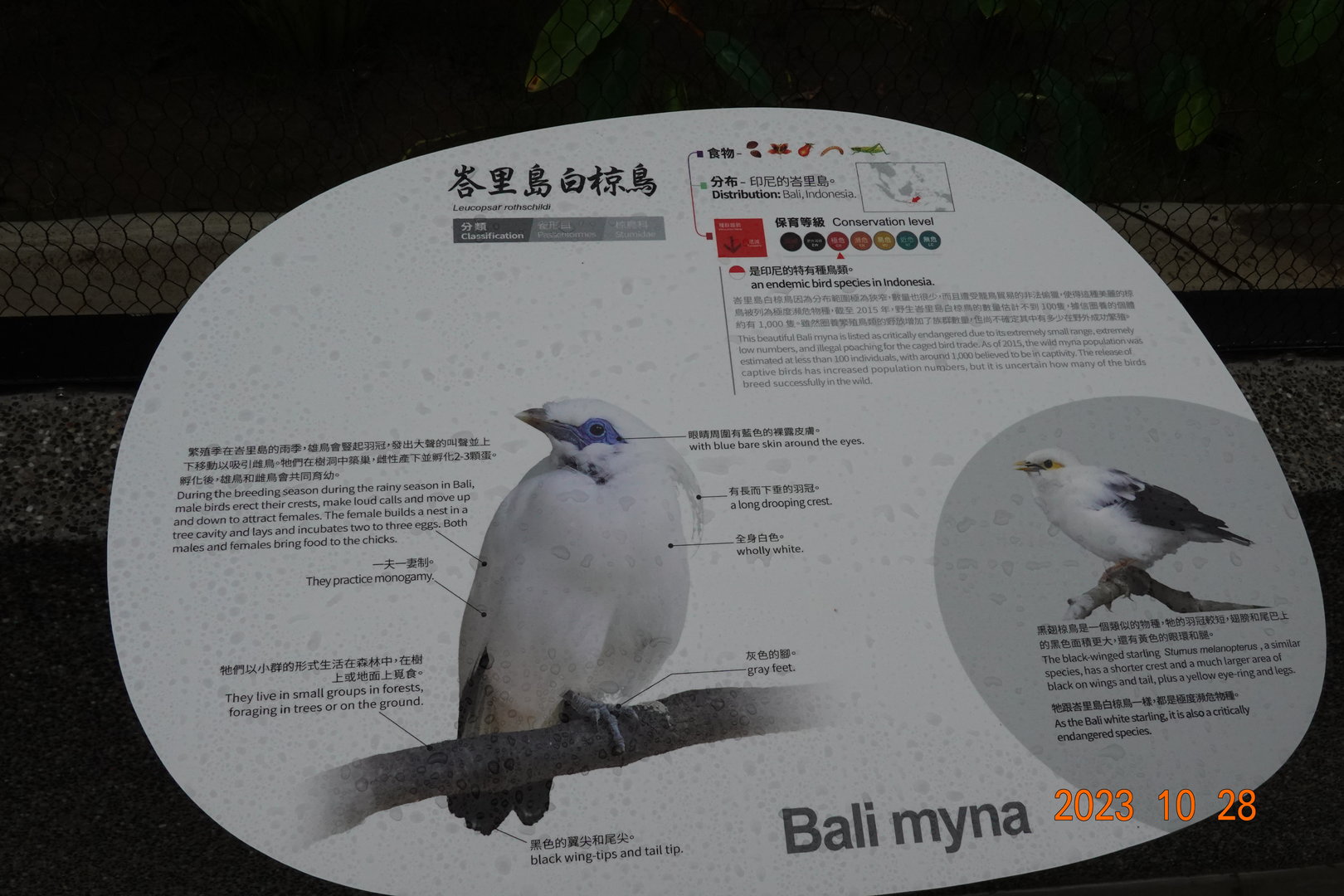 The sign of Bali Myna (Leucopsar rothschildi)