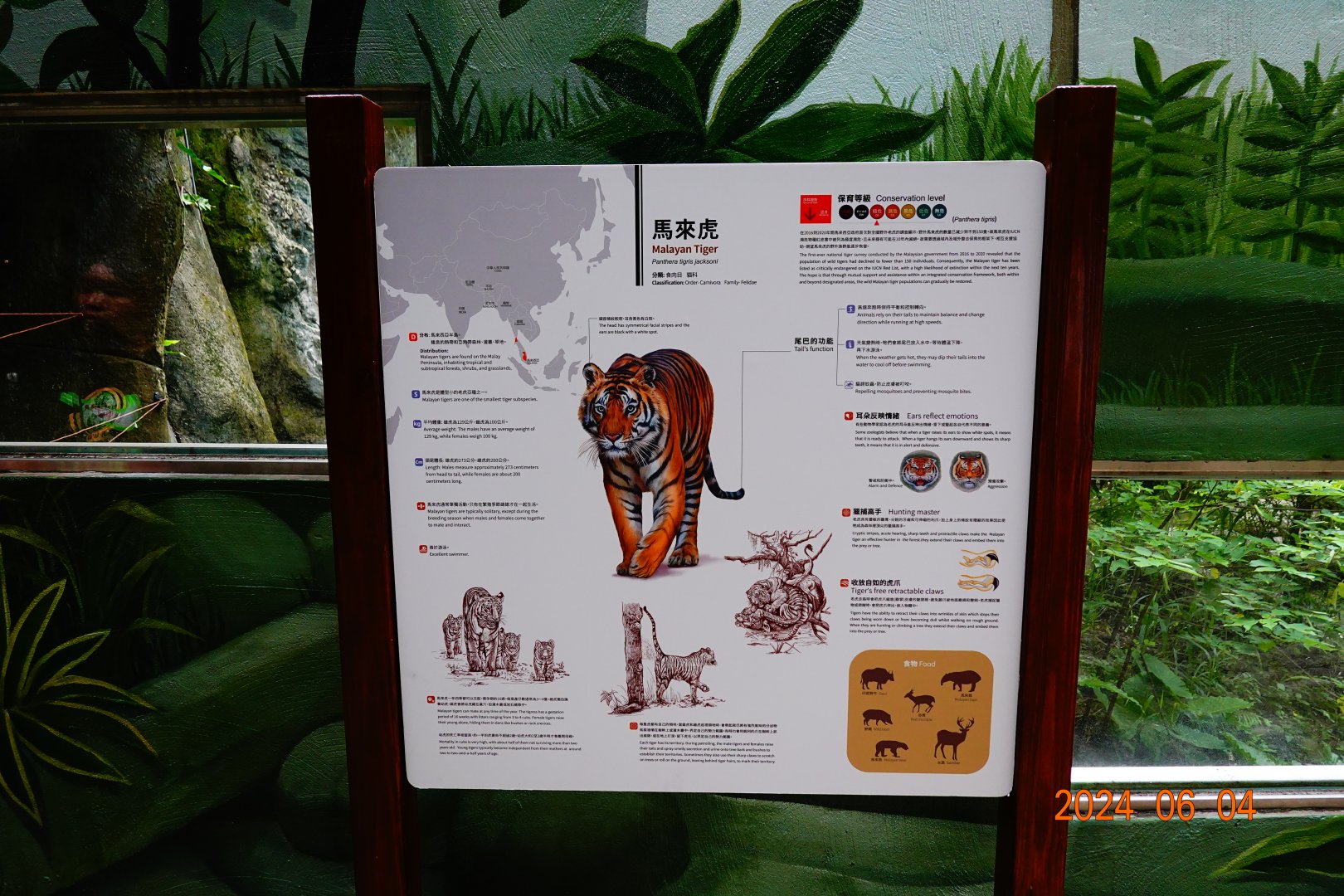 The sign of Malayan Tiger (Panthera tigris jacksoni).