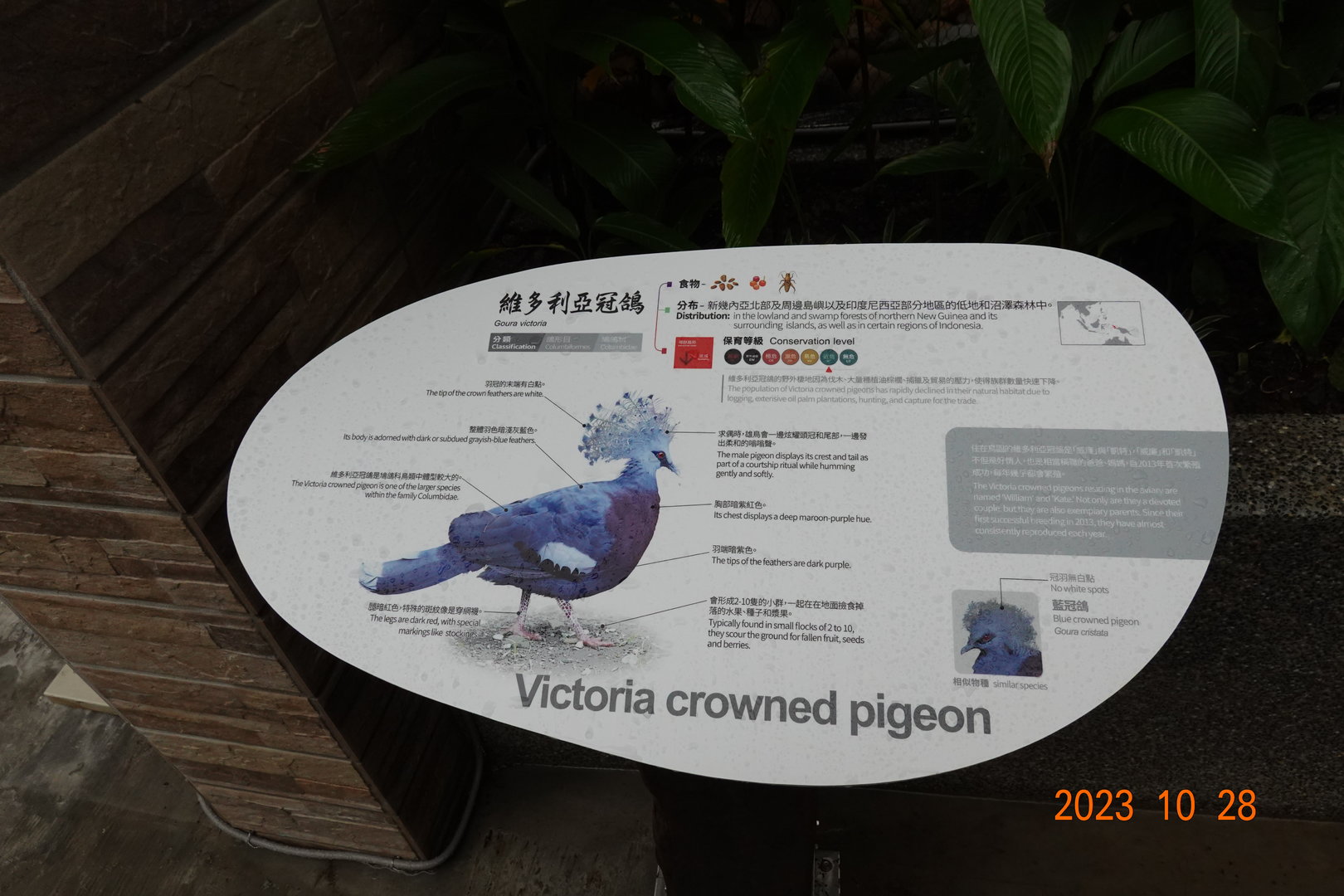 The sign of Victoria Crowned Pigeon (Goura victoria)