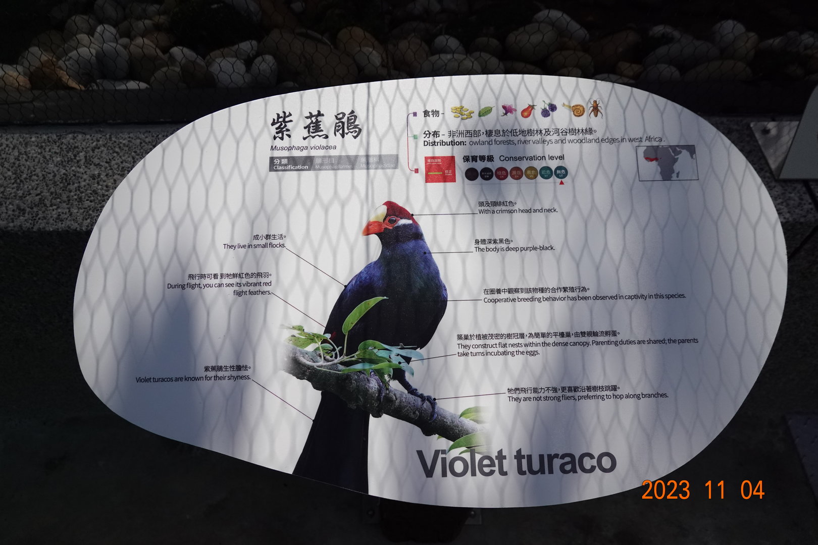 The sign of Violet Turaco (Tauraco violaceus)