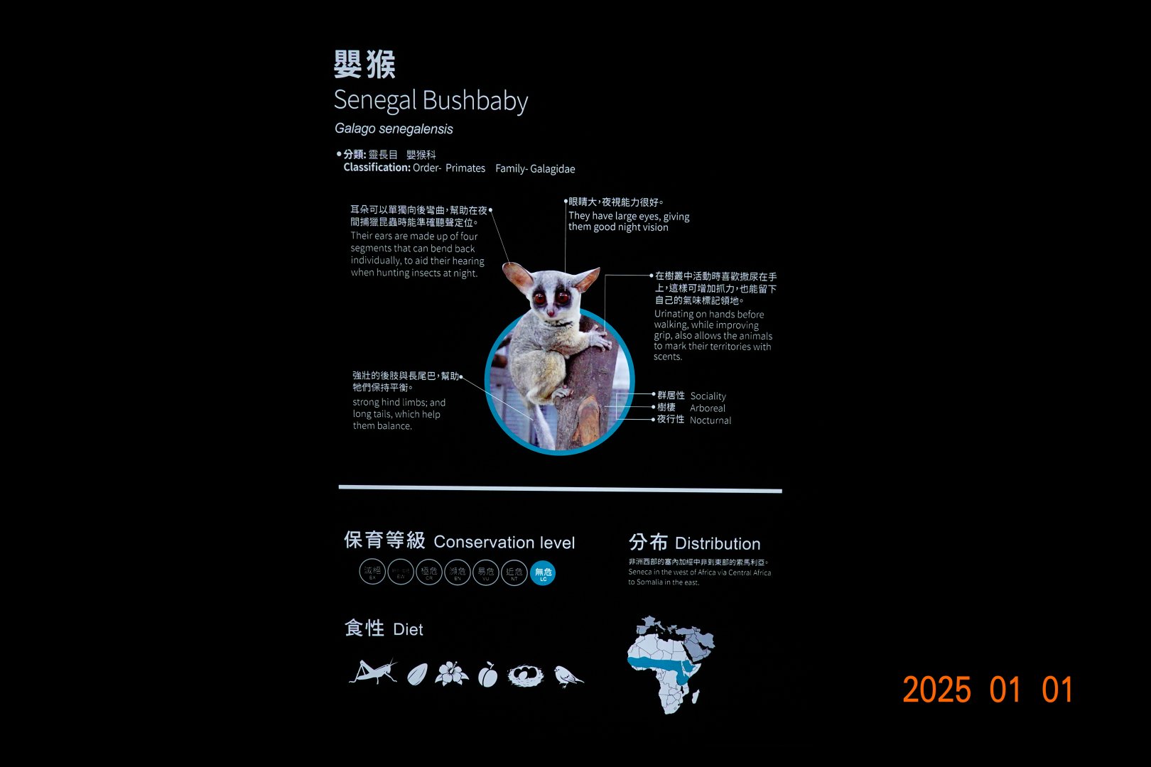 The signage of Senegal galago.