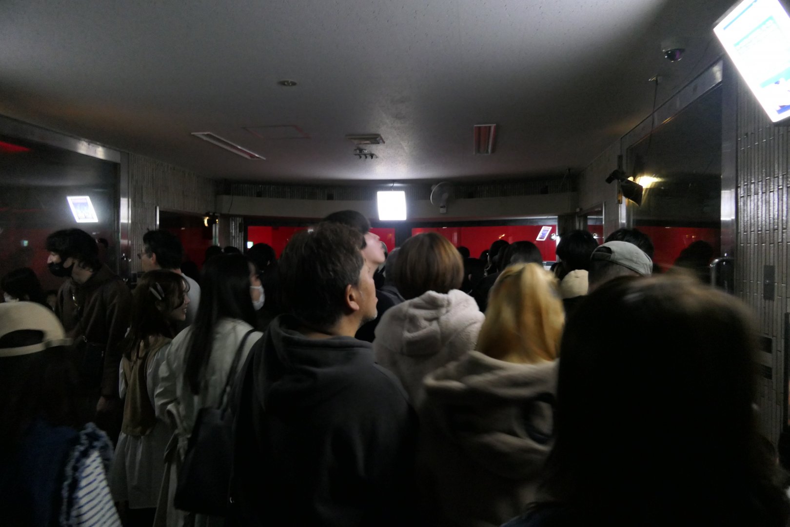 The Small Mammal House experience