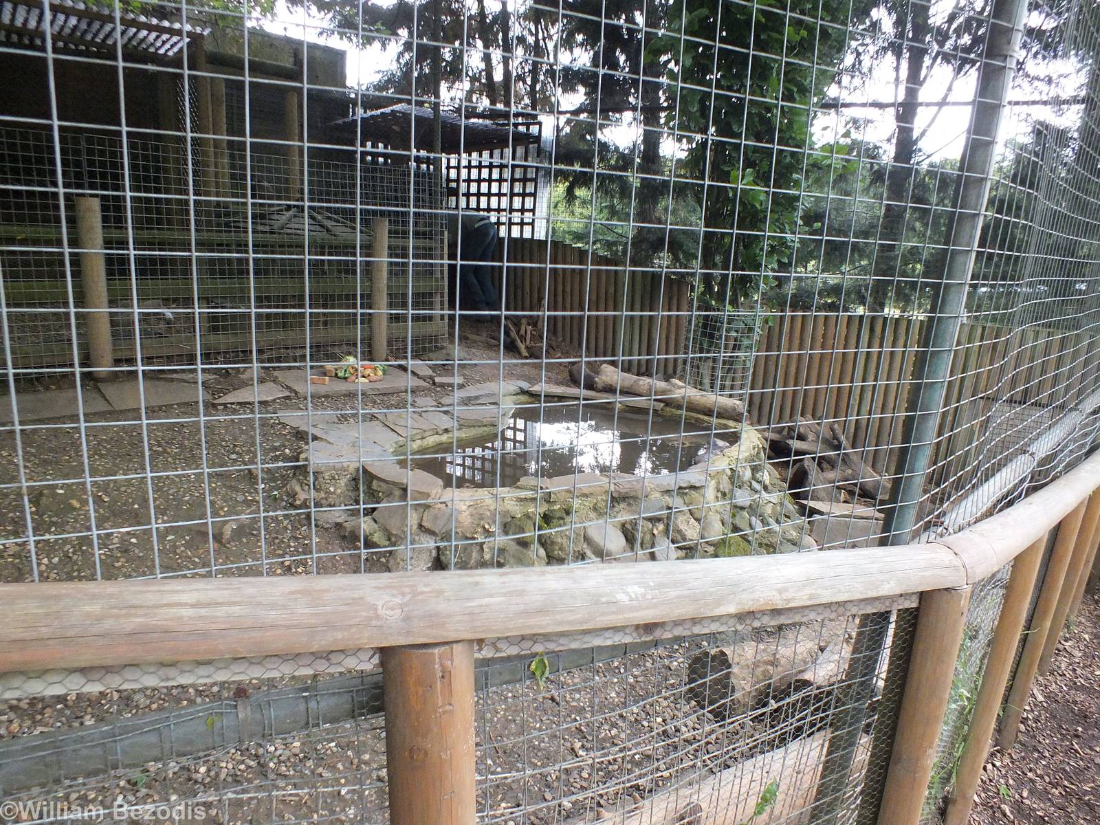 The Smaller Beaver Enclosure