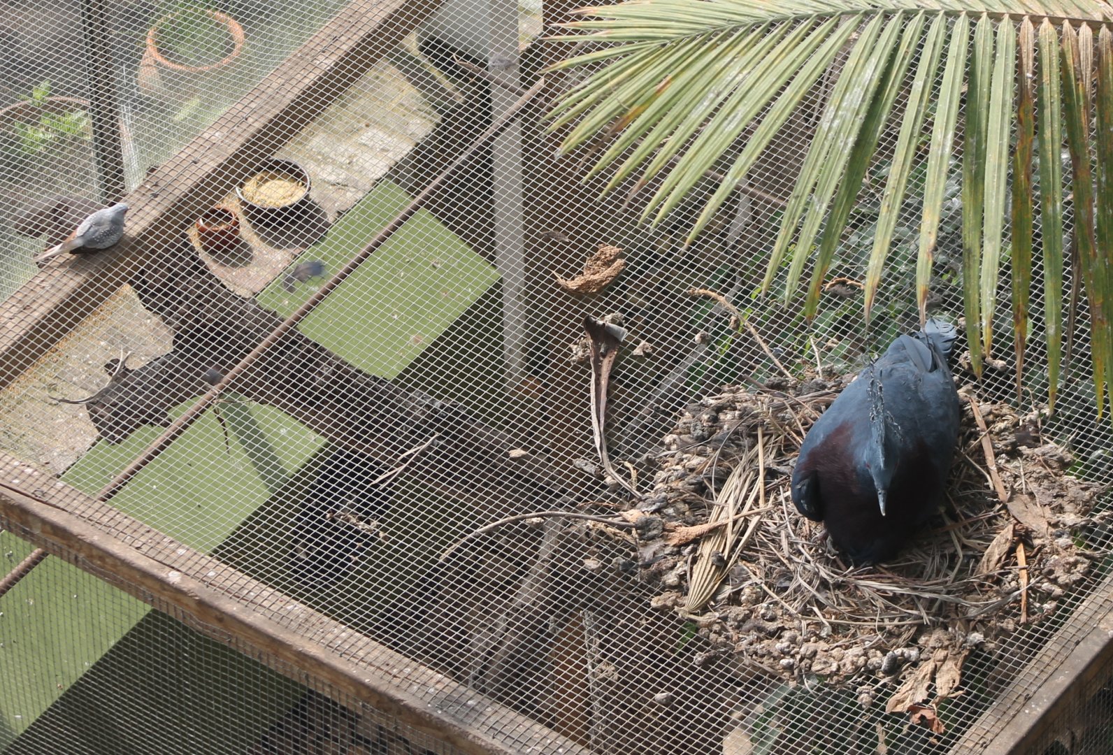 The smallest and the biggest