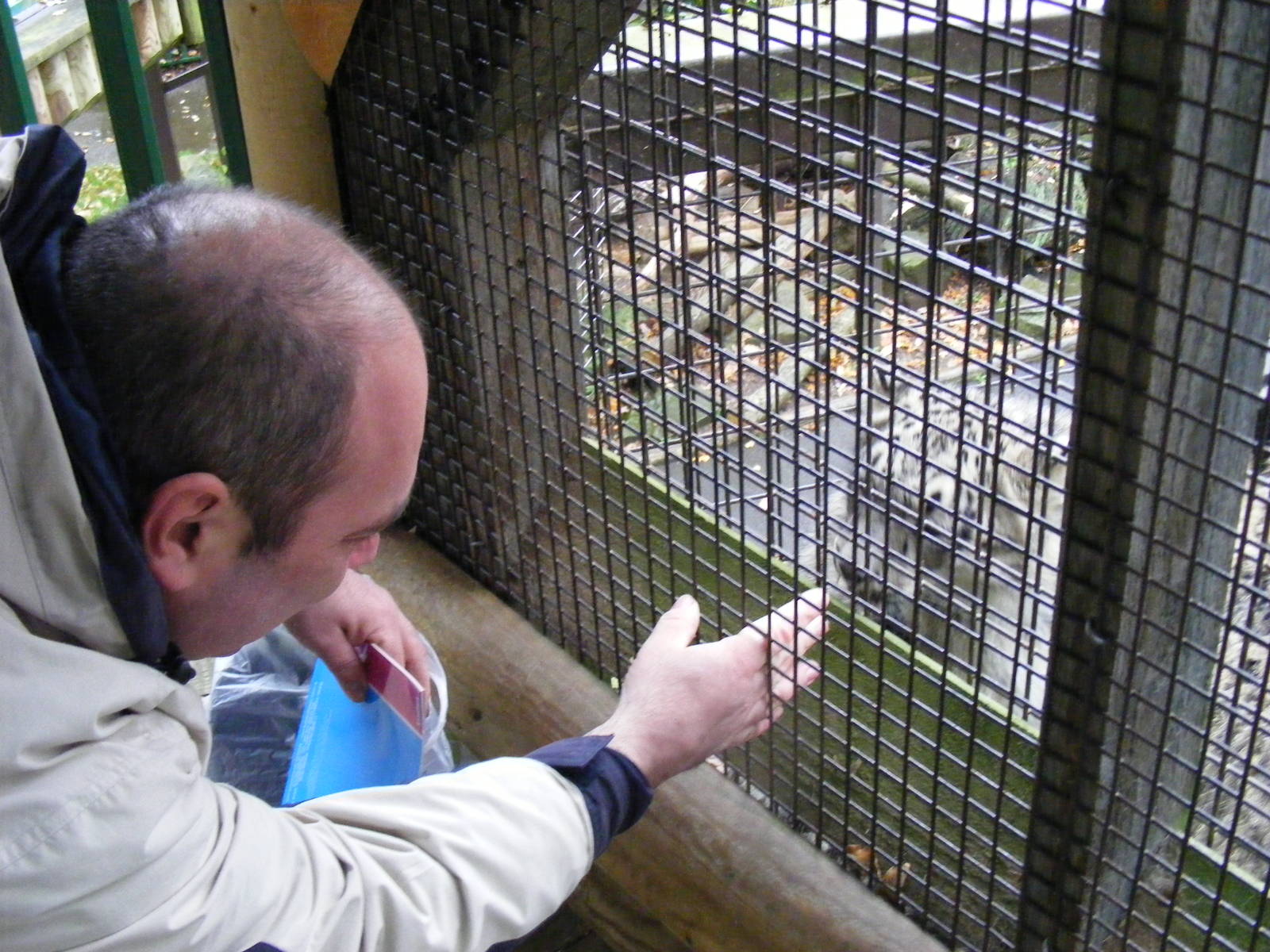 The snow leopard enclosure at Paradise Wildlife Park, 22 November 2009