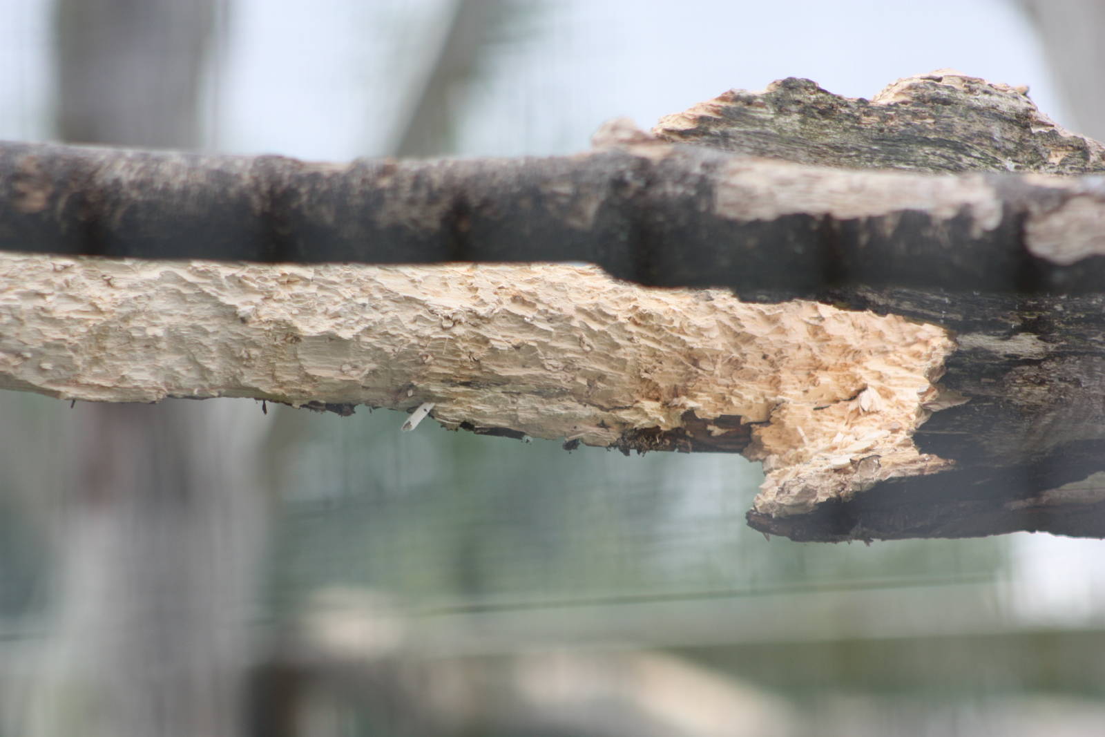 The source, 1st September 2014