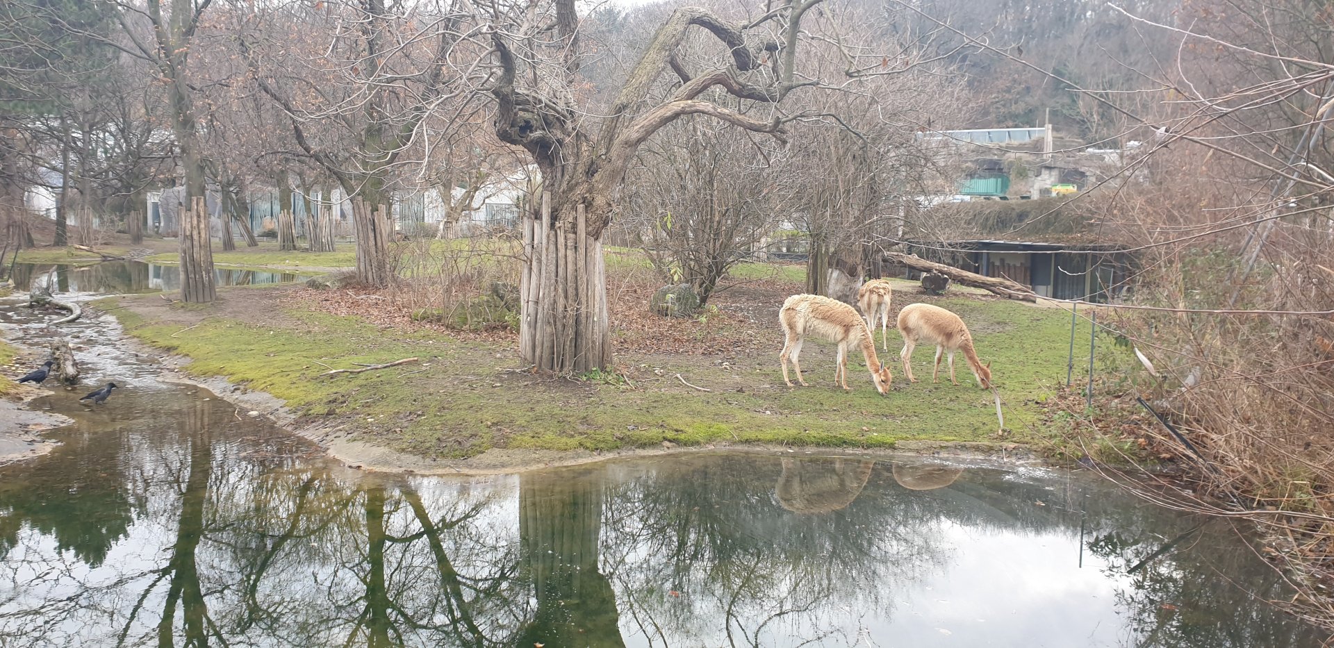The South America Park outdoor