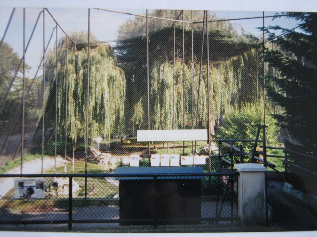 The Southern Aviary 6/10/99.