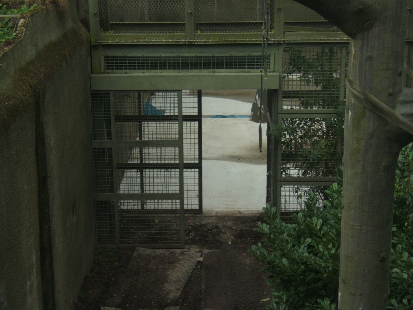 The start of Tuan proofing RORA