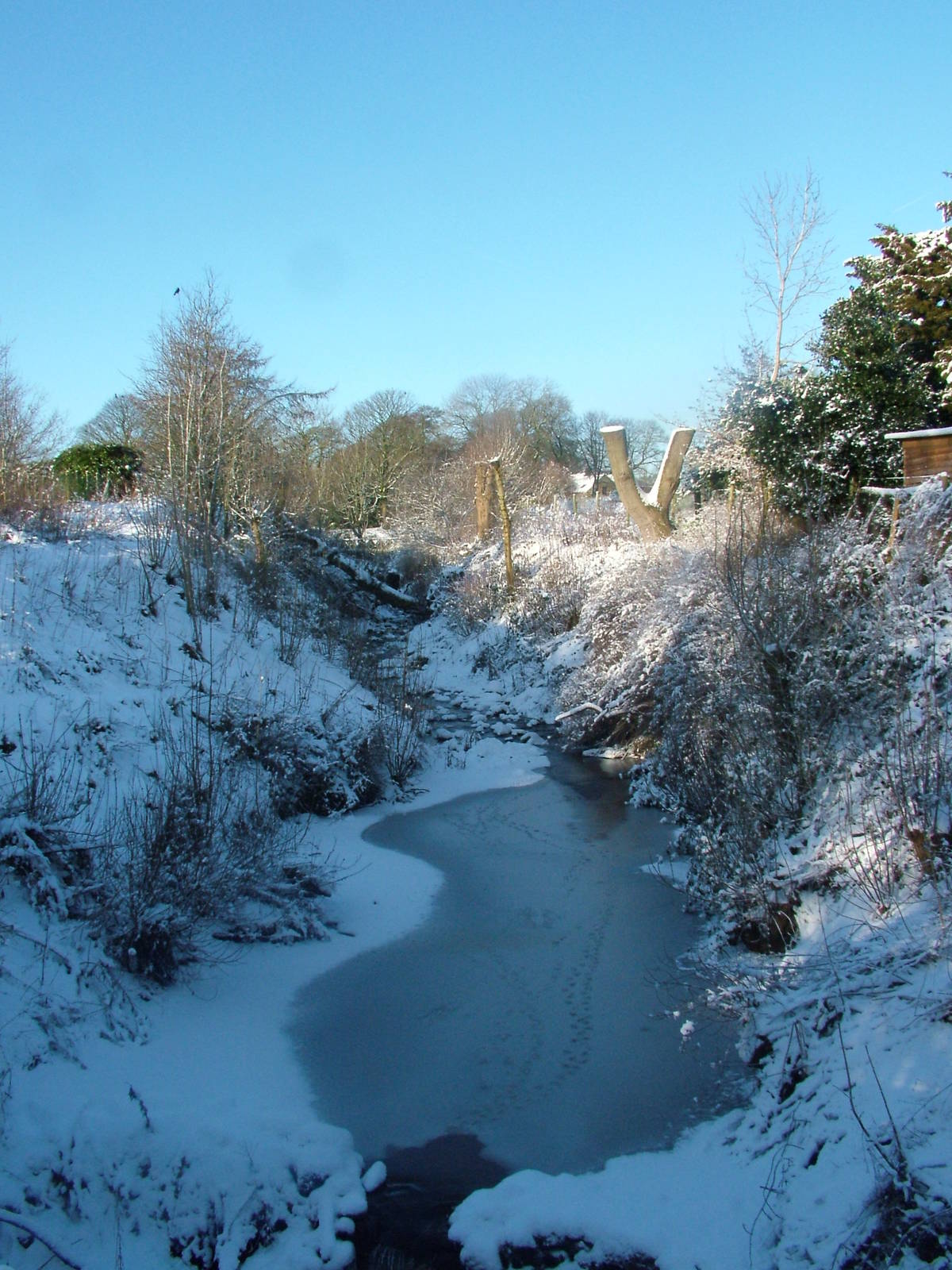 The stream, Blackbrook in the Snow, 03/01/10