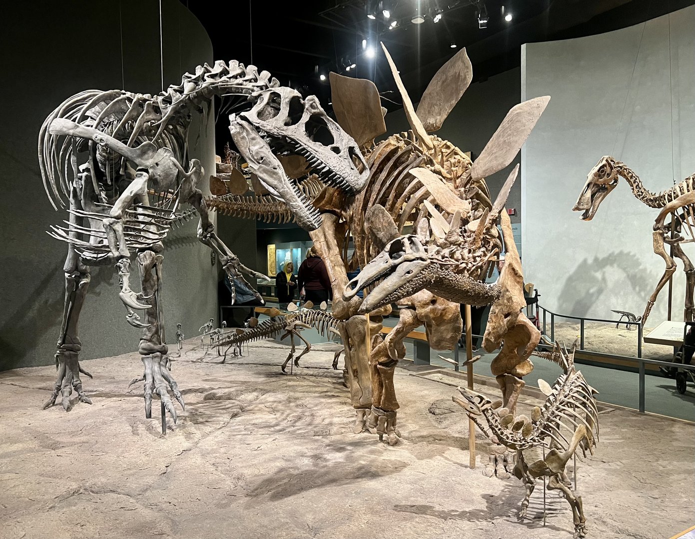 The struggle defeats us all…the fight defines us.  Also dinosaurs.