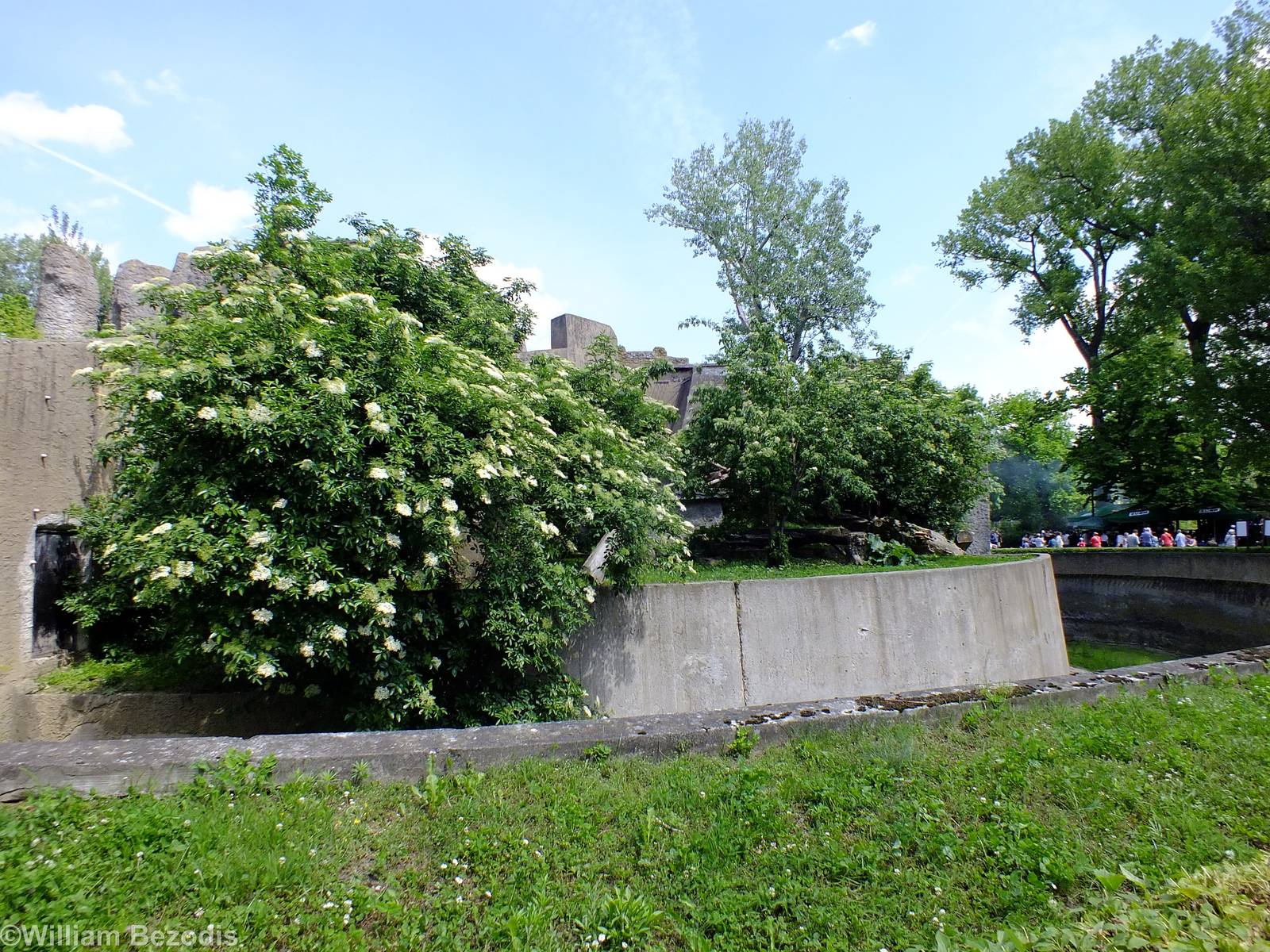 The Sumatran Tiger Enclosure