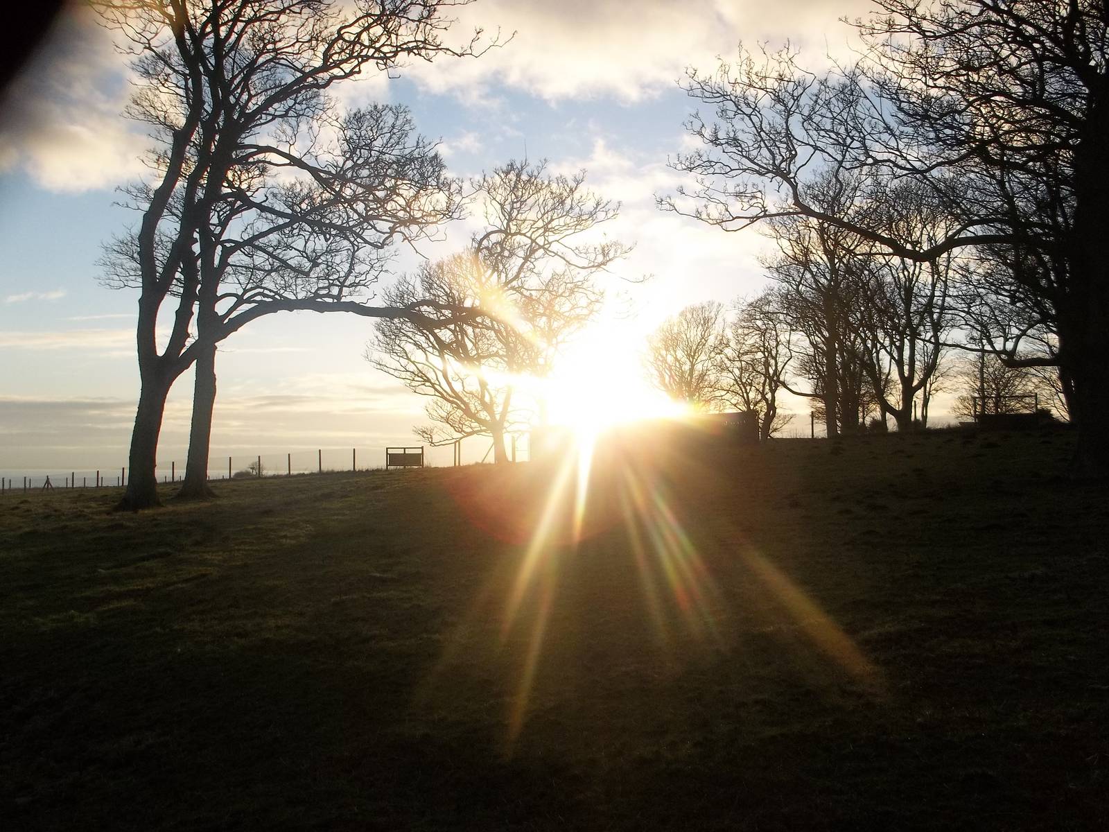 The sun streams across the clifftop paddocks, 18th January 2015