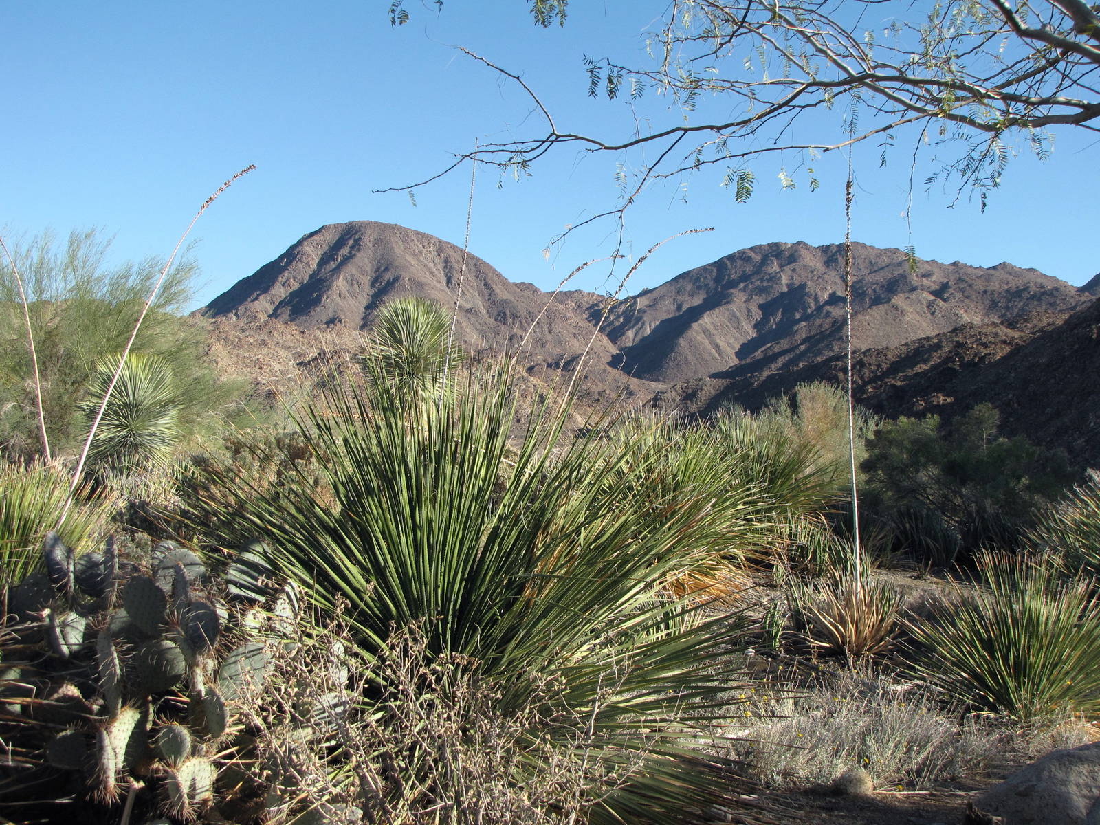The Surrounding Landscape