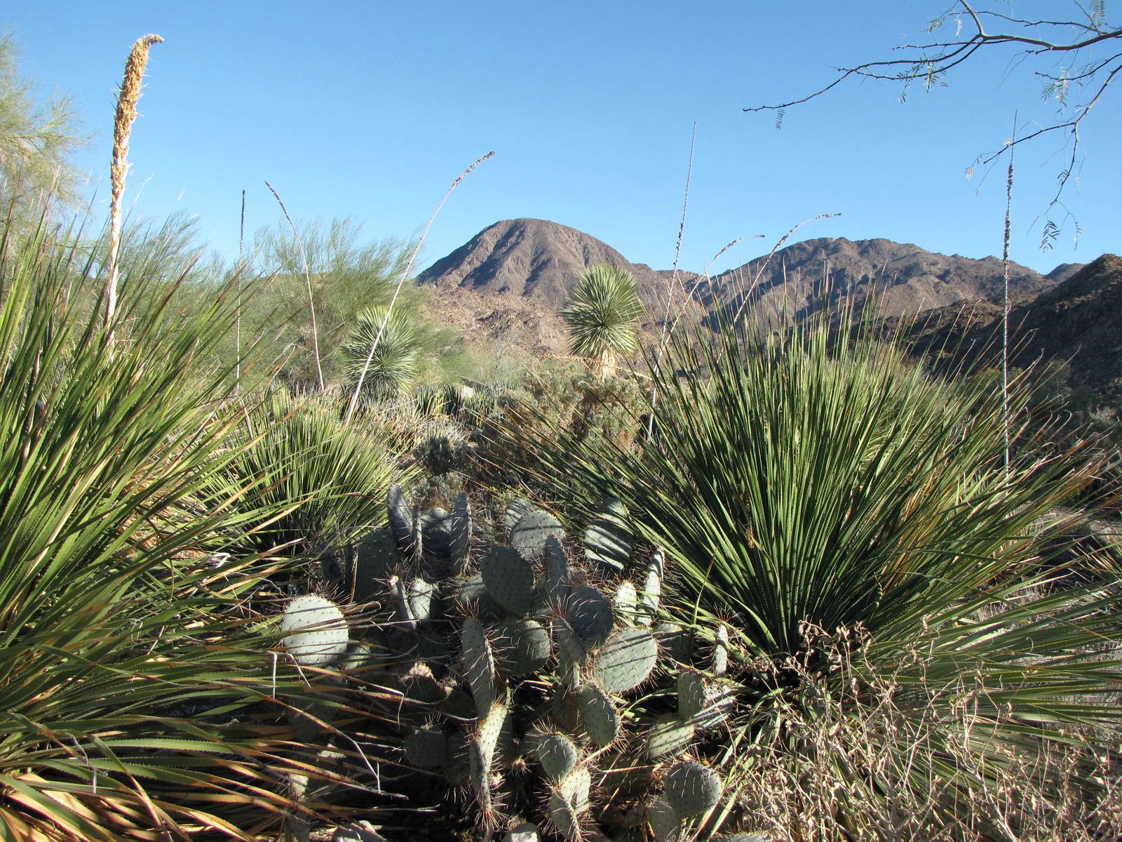 The Surrounding Landscape