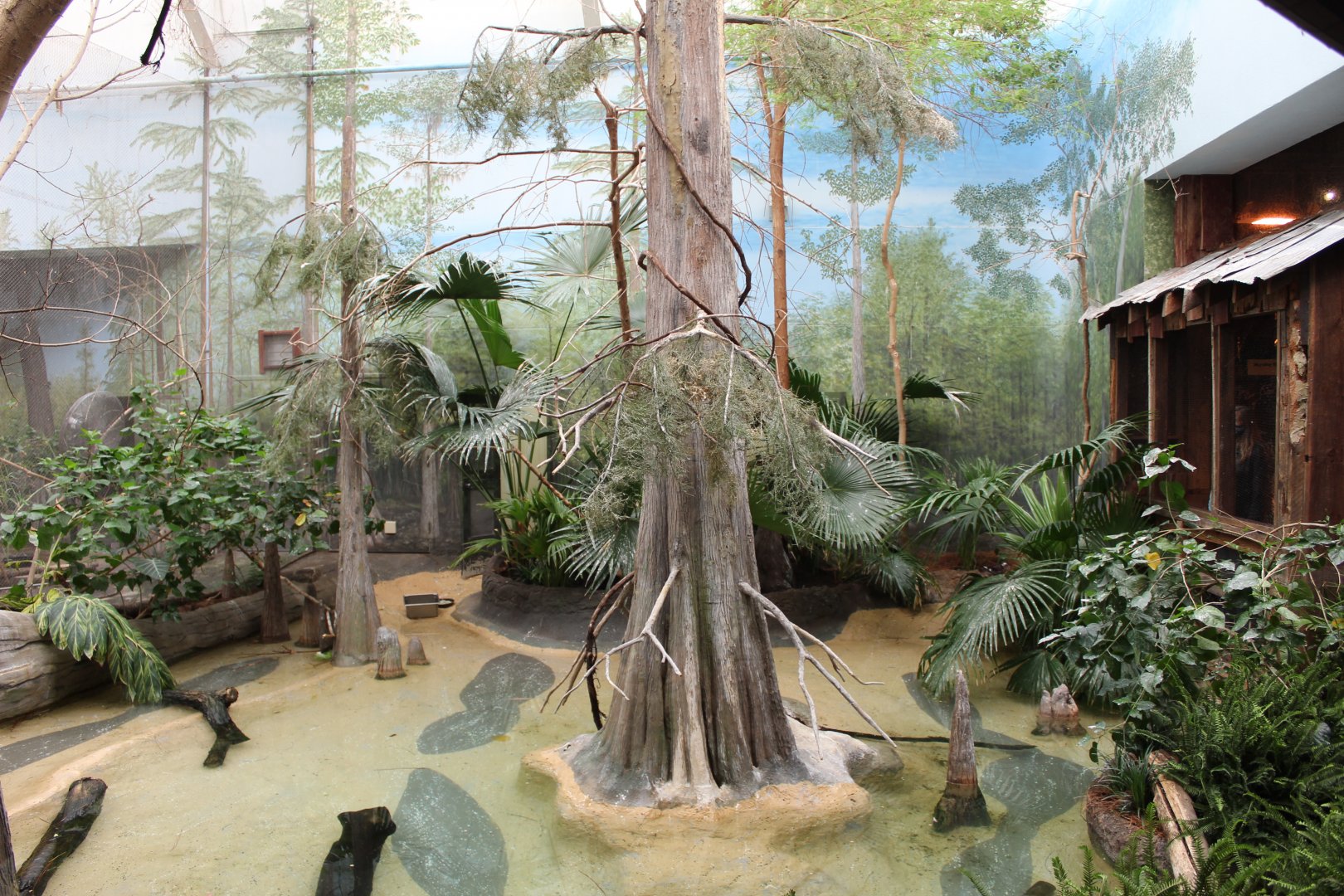 The Swamp - Aviary (Blue-Winged Teal, Great Egret, Roseate Spoonbill, Wood Duck)