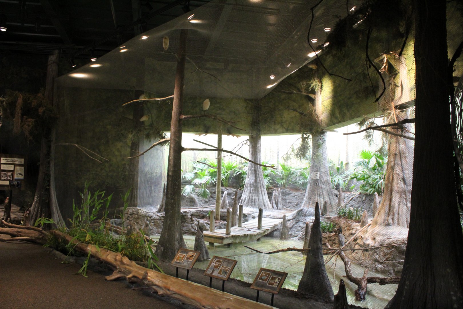 The Swamp - Aviary (Boat-Billed Heron, Brazilian Teal, Snowy Egret, Sunbittern, Venezuelan Troupial)