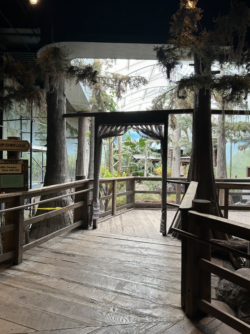 The Swamp- Aviary