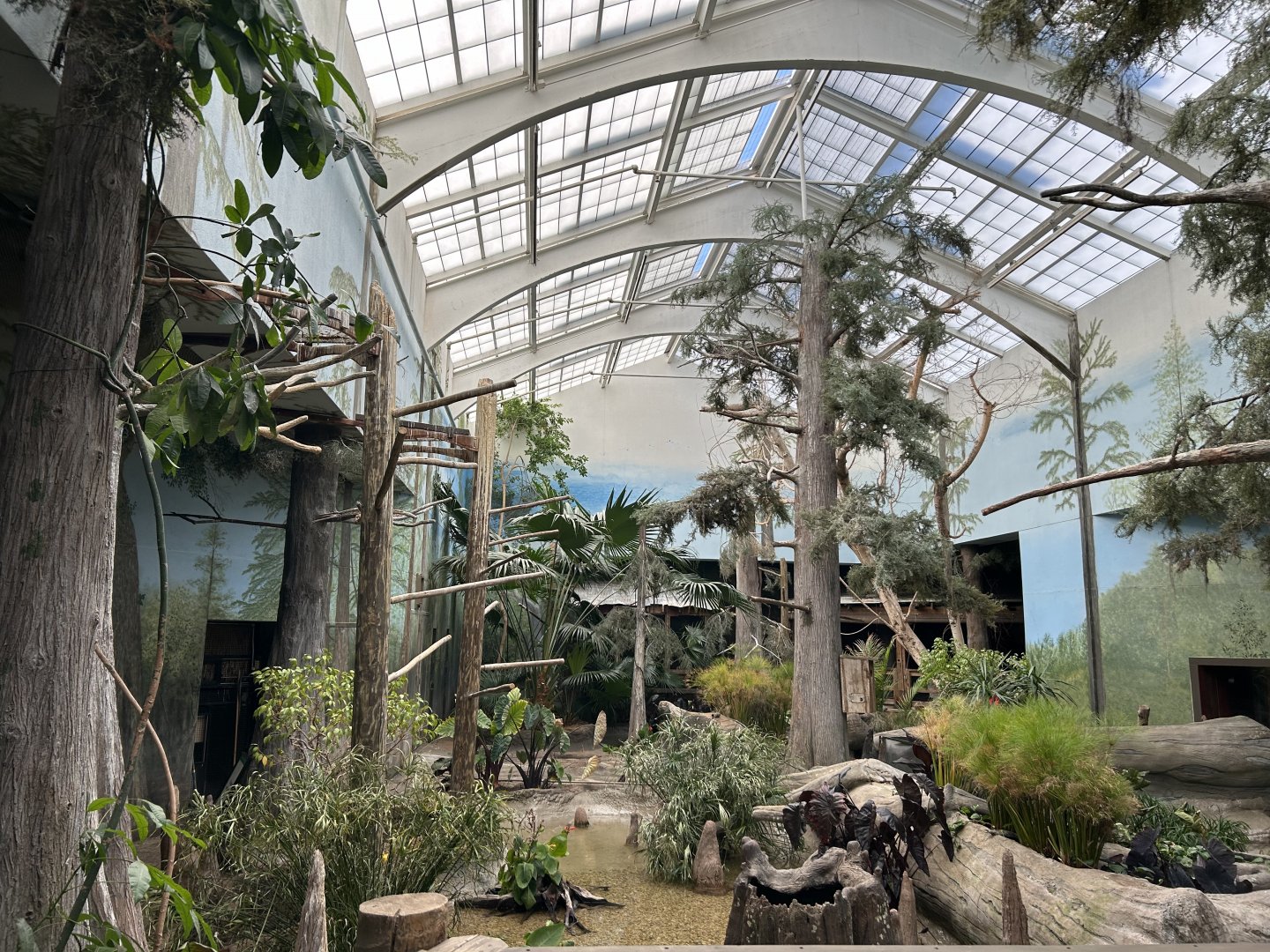 The Swamp- Aviary