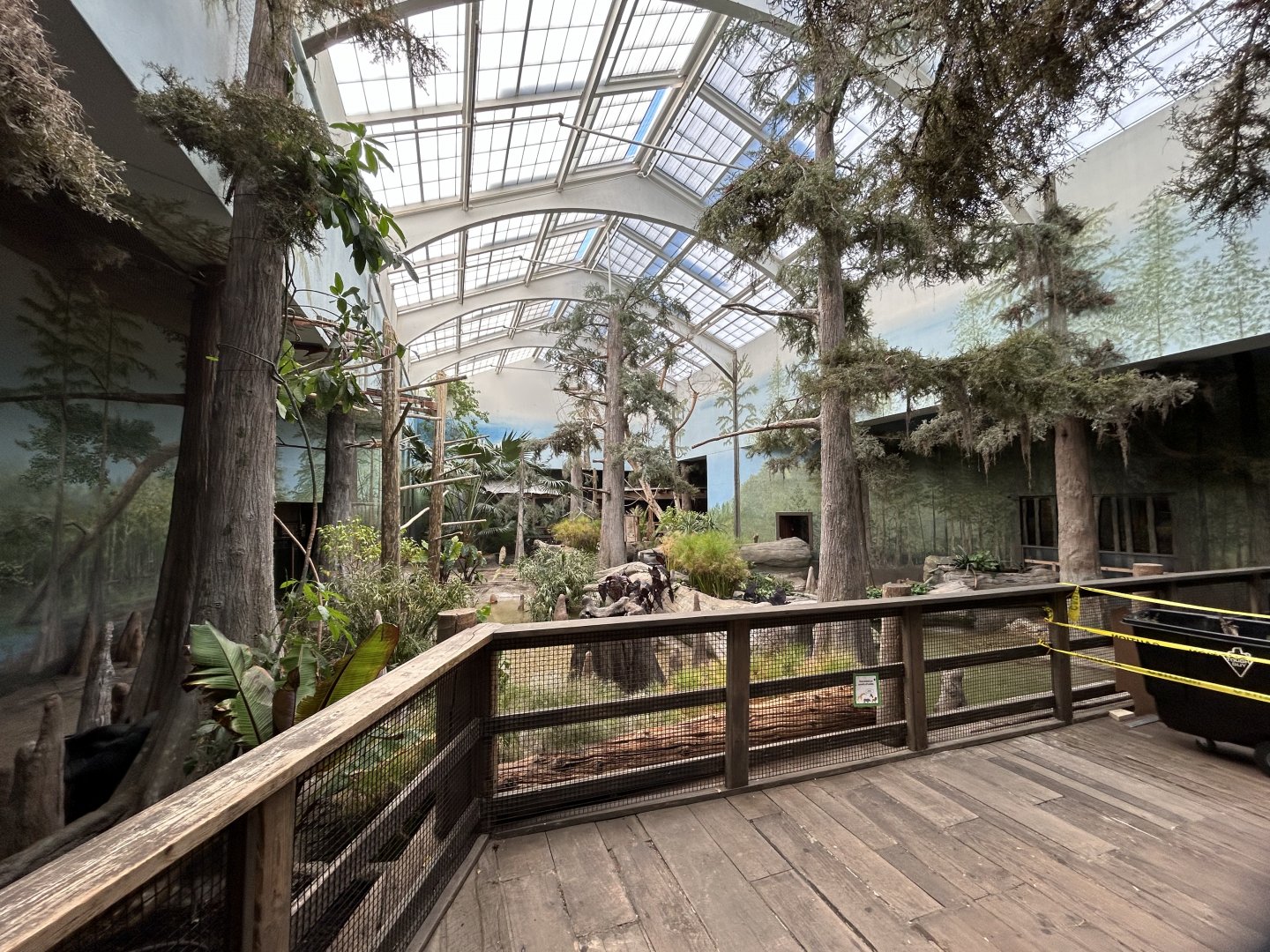 The Swamp- Aviary