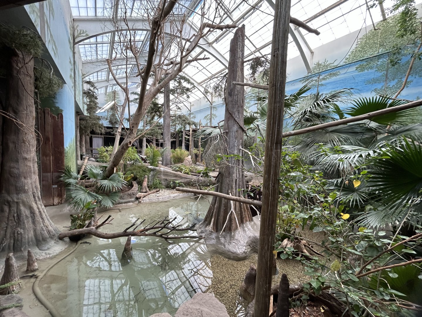 The Swamp- Aviary