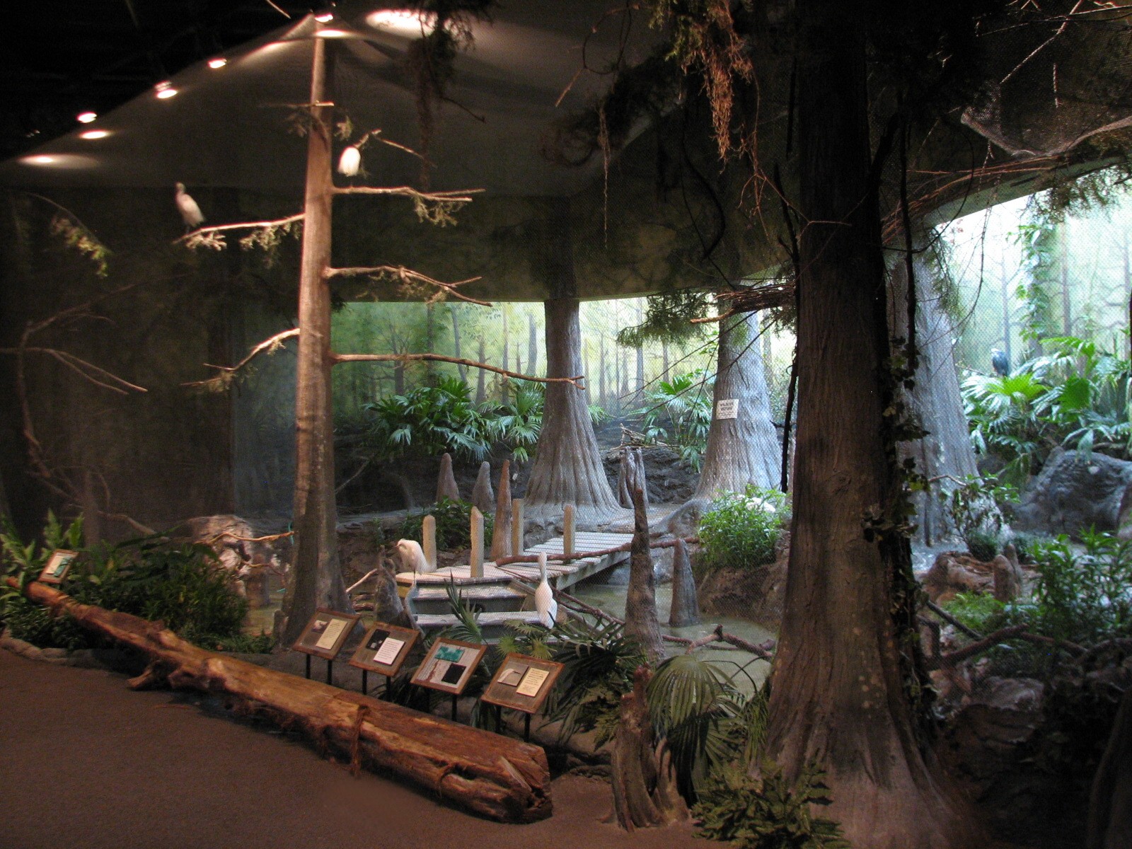 The Swamp - Egret Pond Exhibit