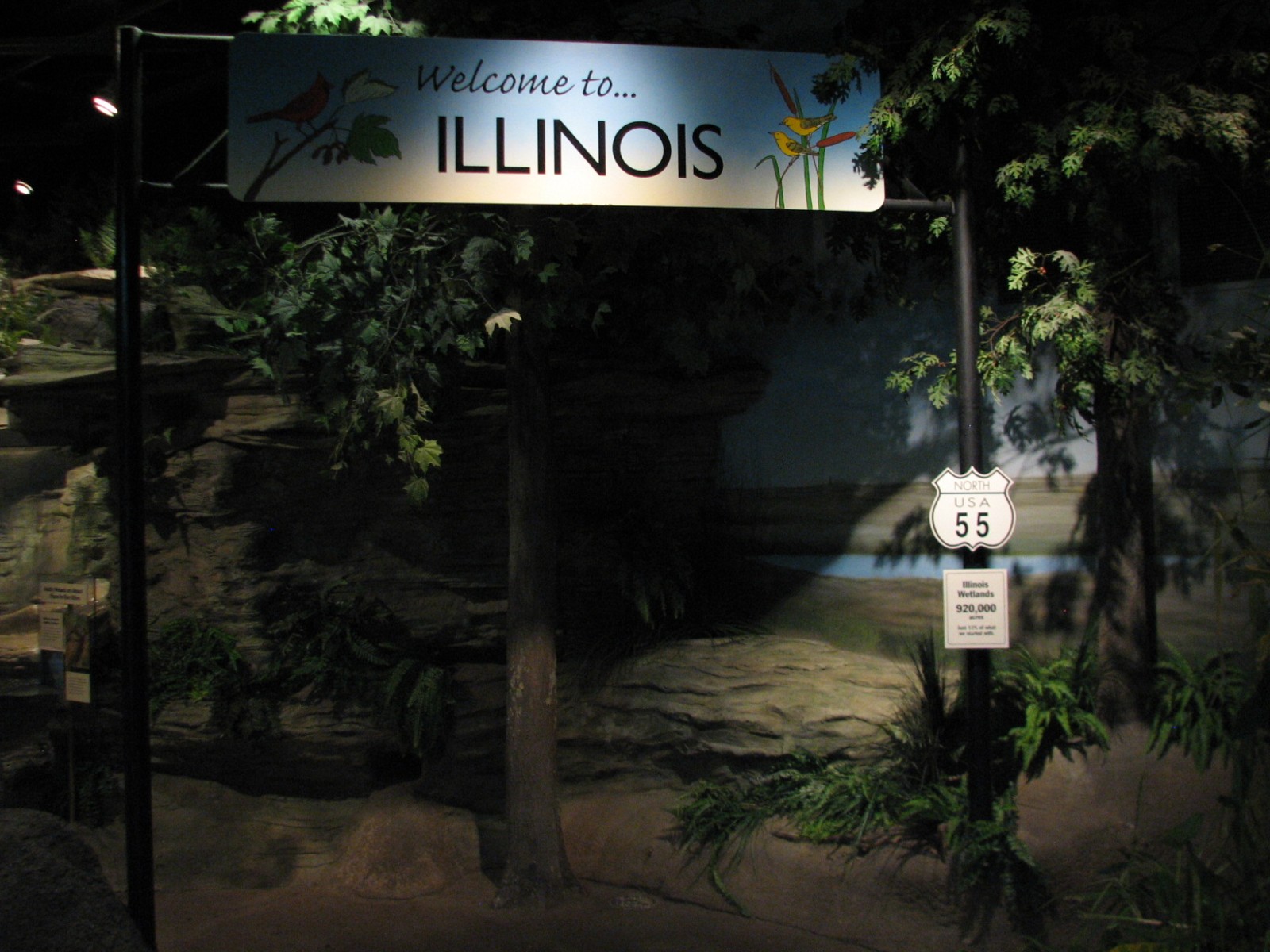 The Swamp - Illinois Entry