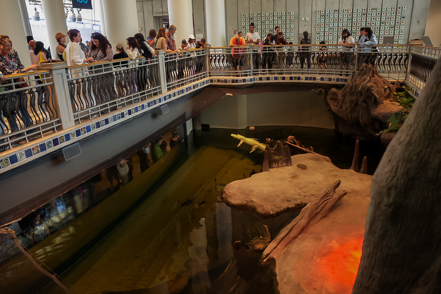 'The Swamp' Main Exhibit