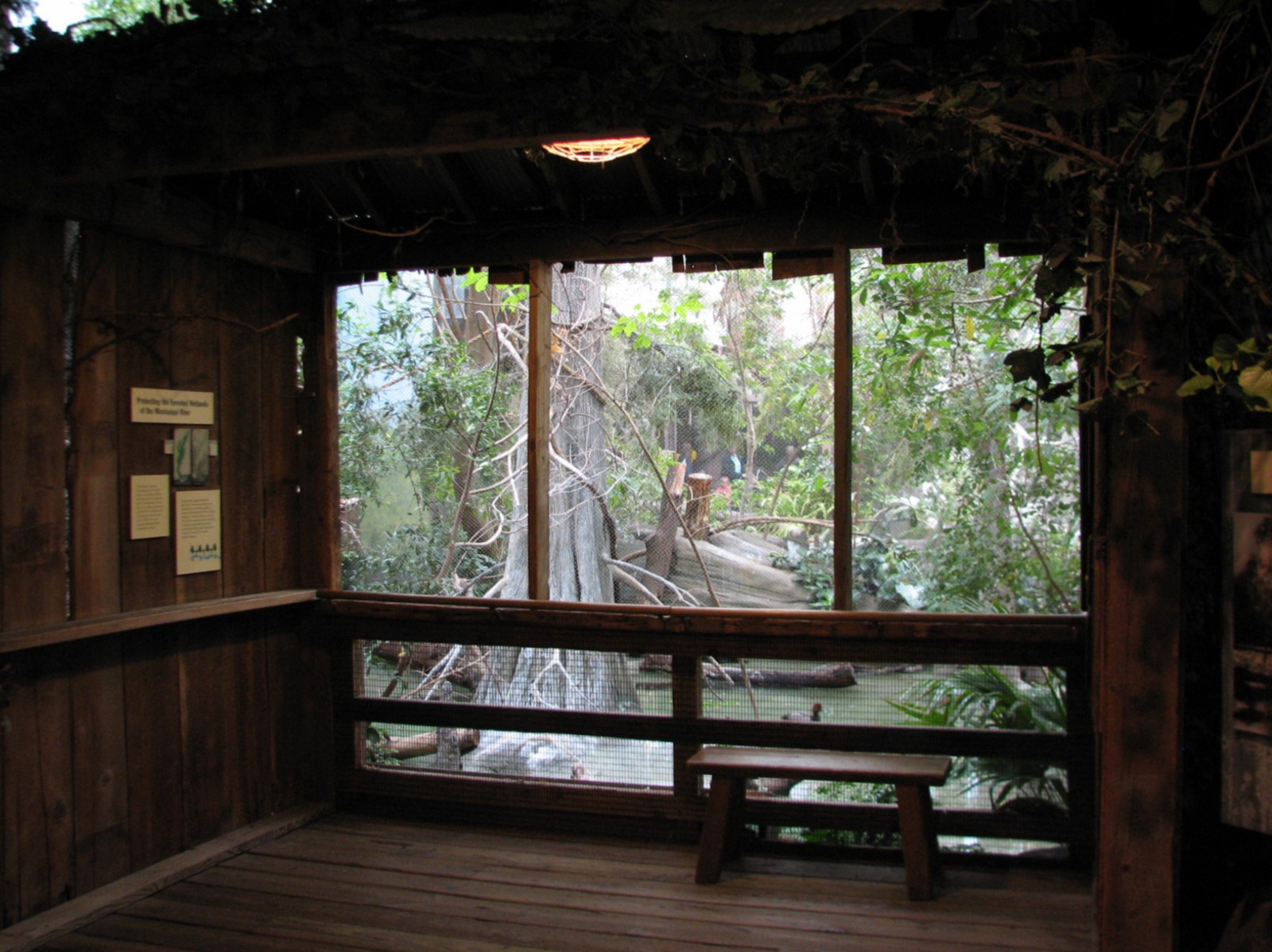 The Swamp - Mixed-species Bird Exhibit Viewing Area